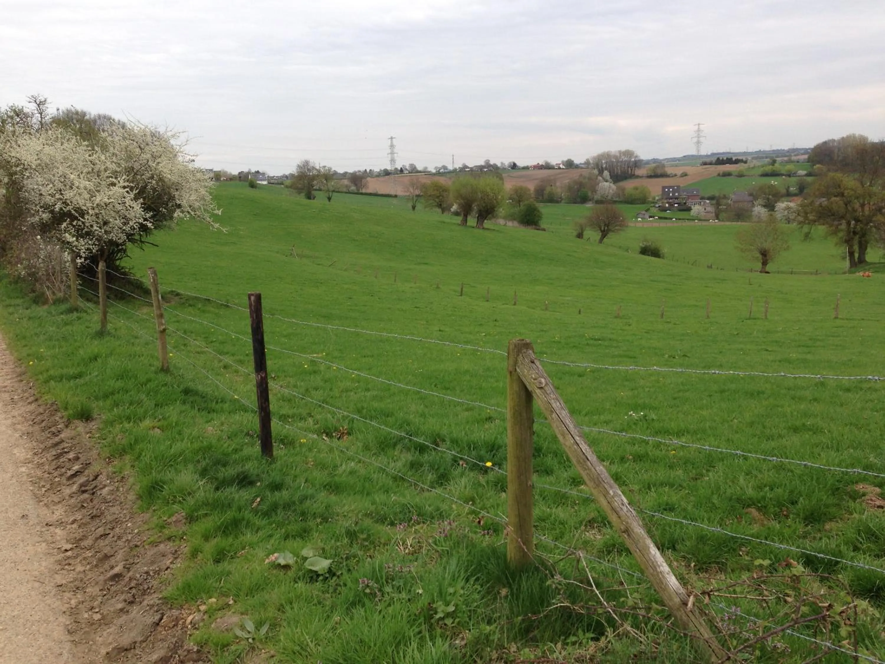 Area and facilities in Hotel De Wilde Kriek