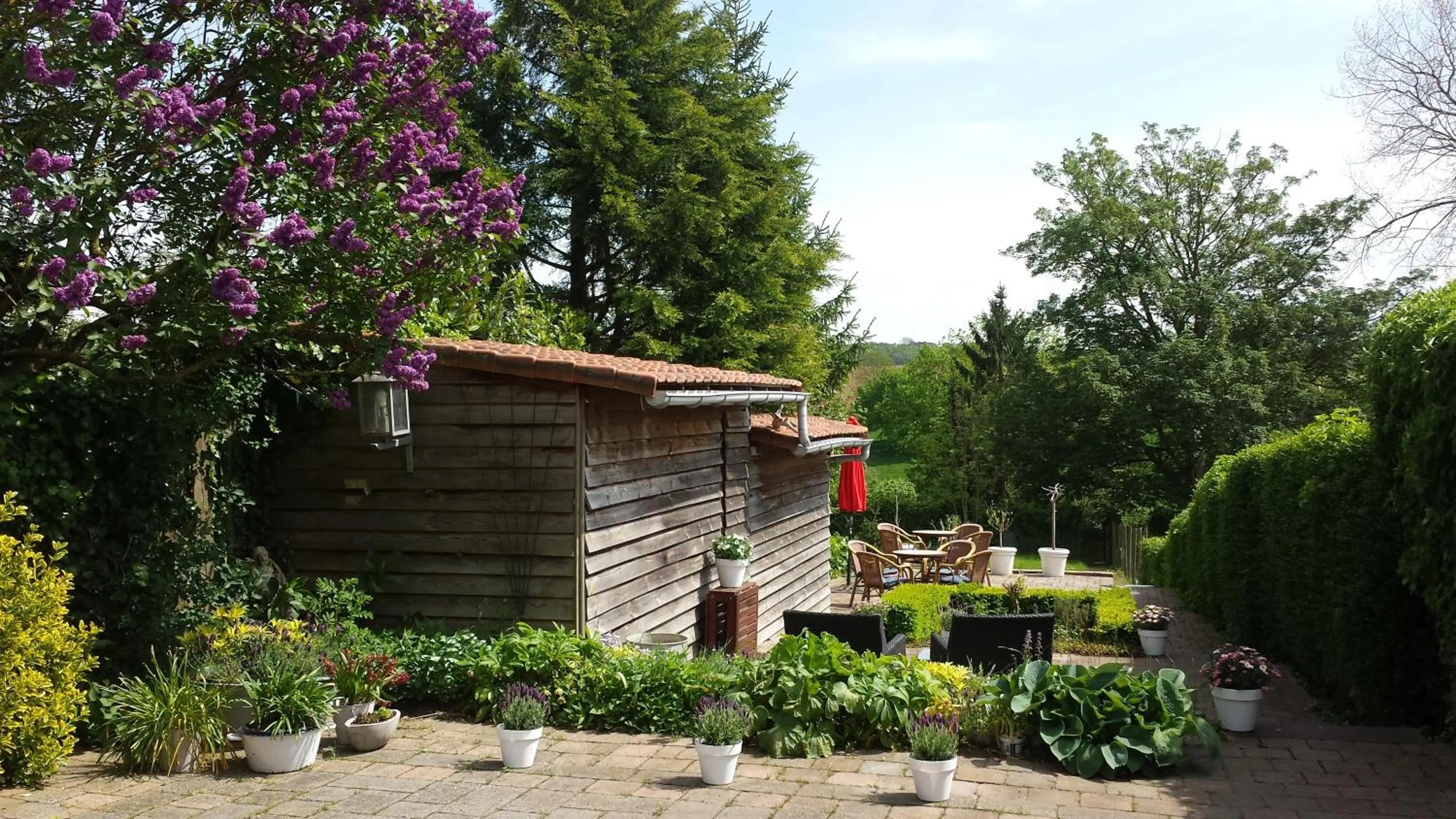 Garden in Hotel De Wilde Kriek