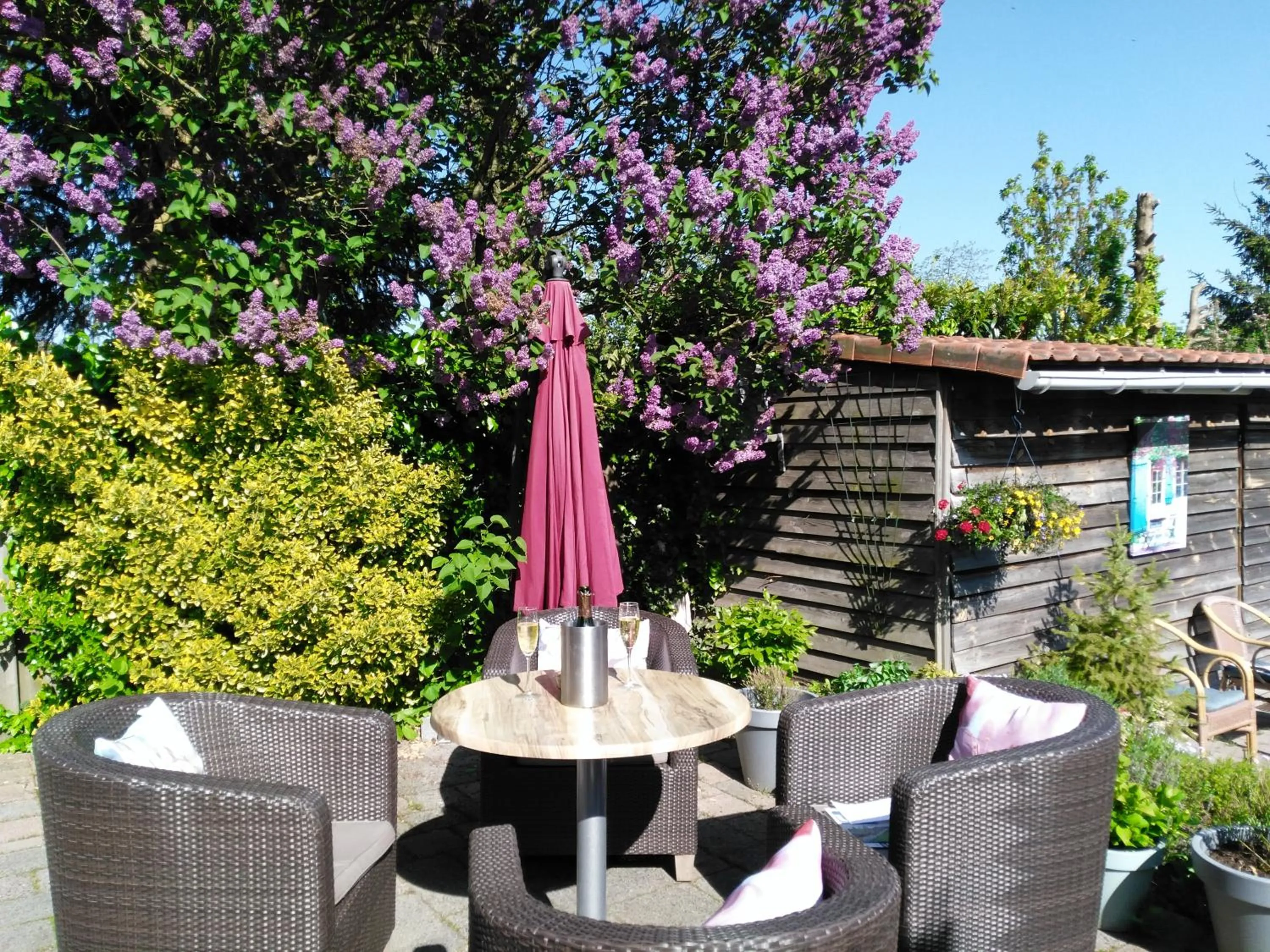 Hotel De Wilde Kriek