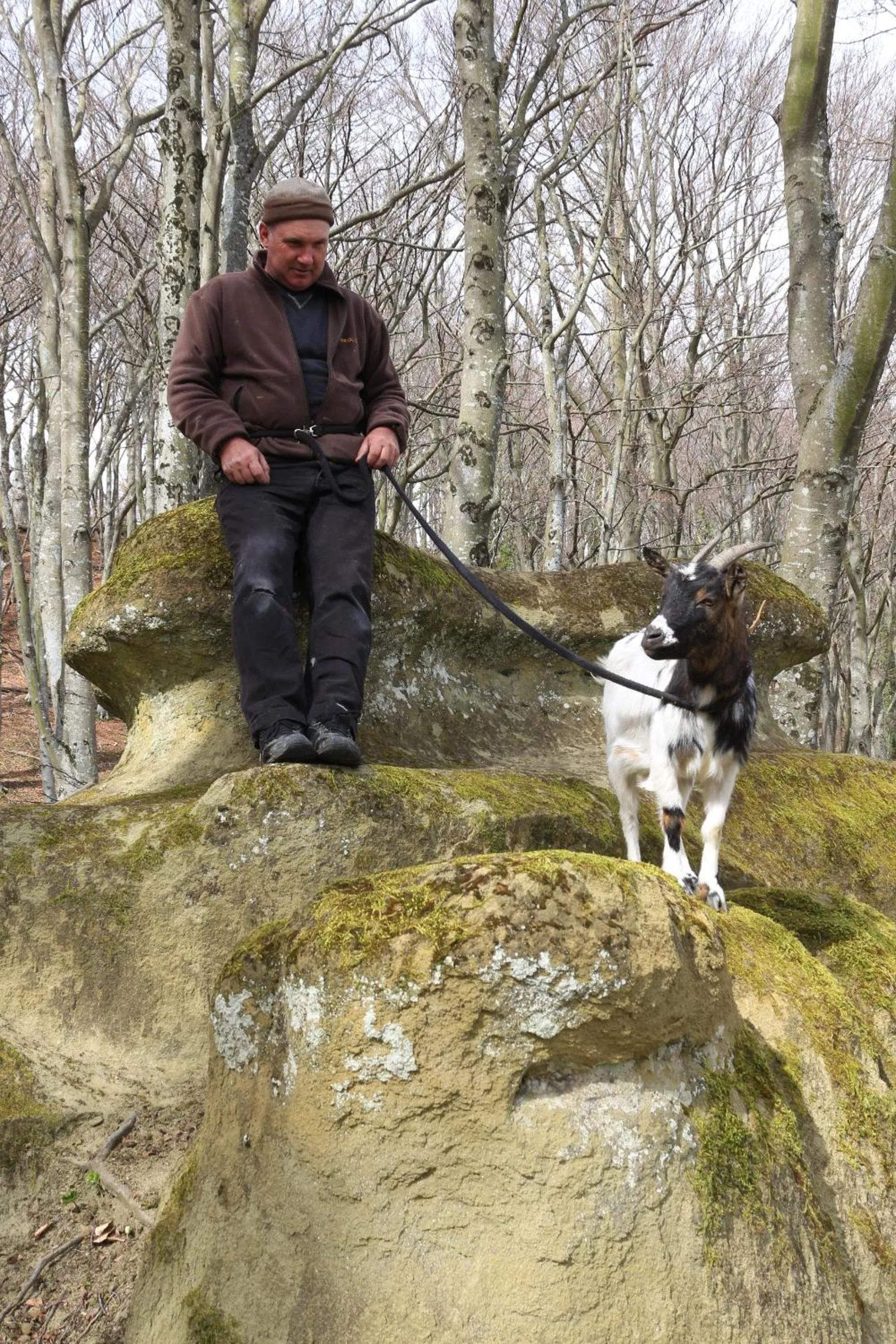Animals in Chalets du Bois de Vache