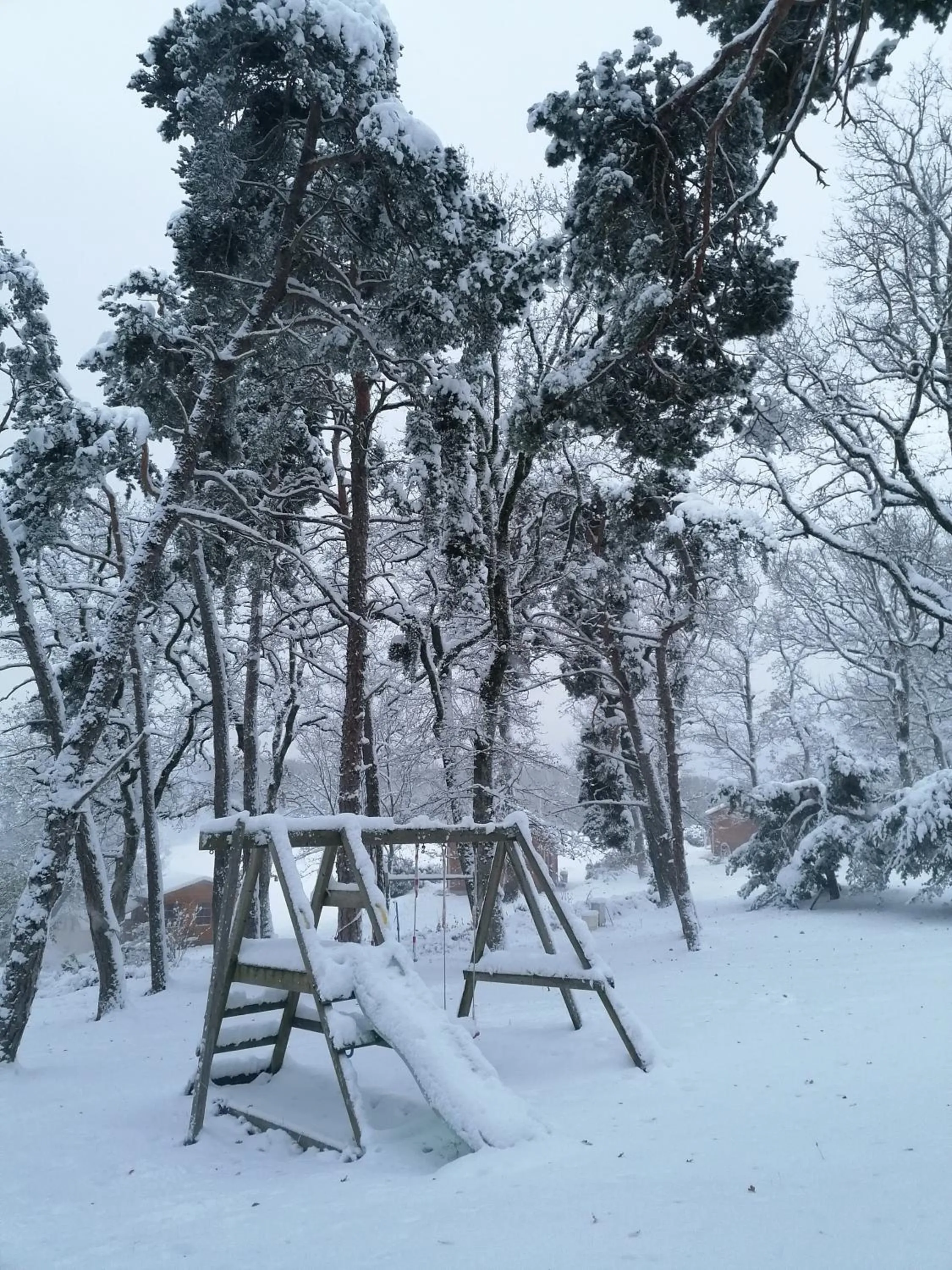 Chalets du Bois de Vache