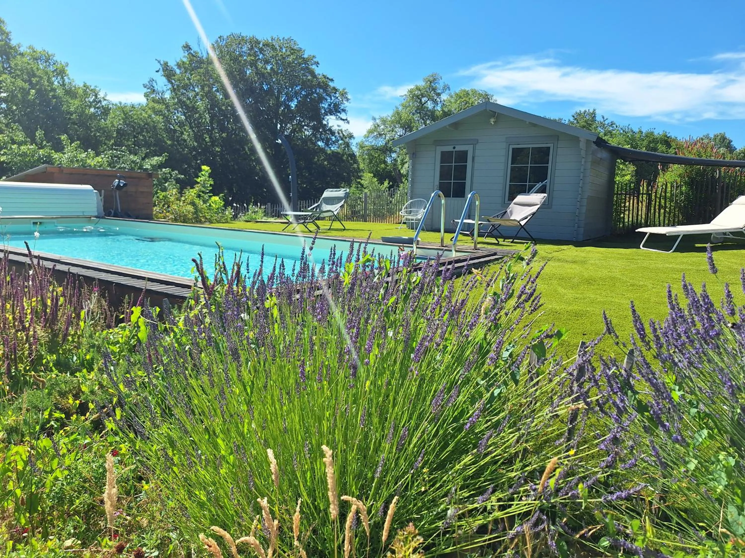 Swimming pool in Chalets du Bois de Vache