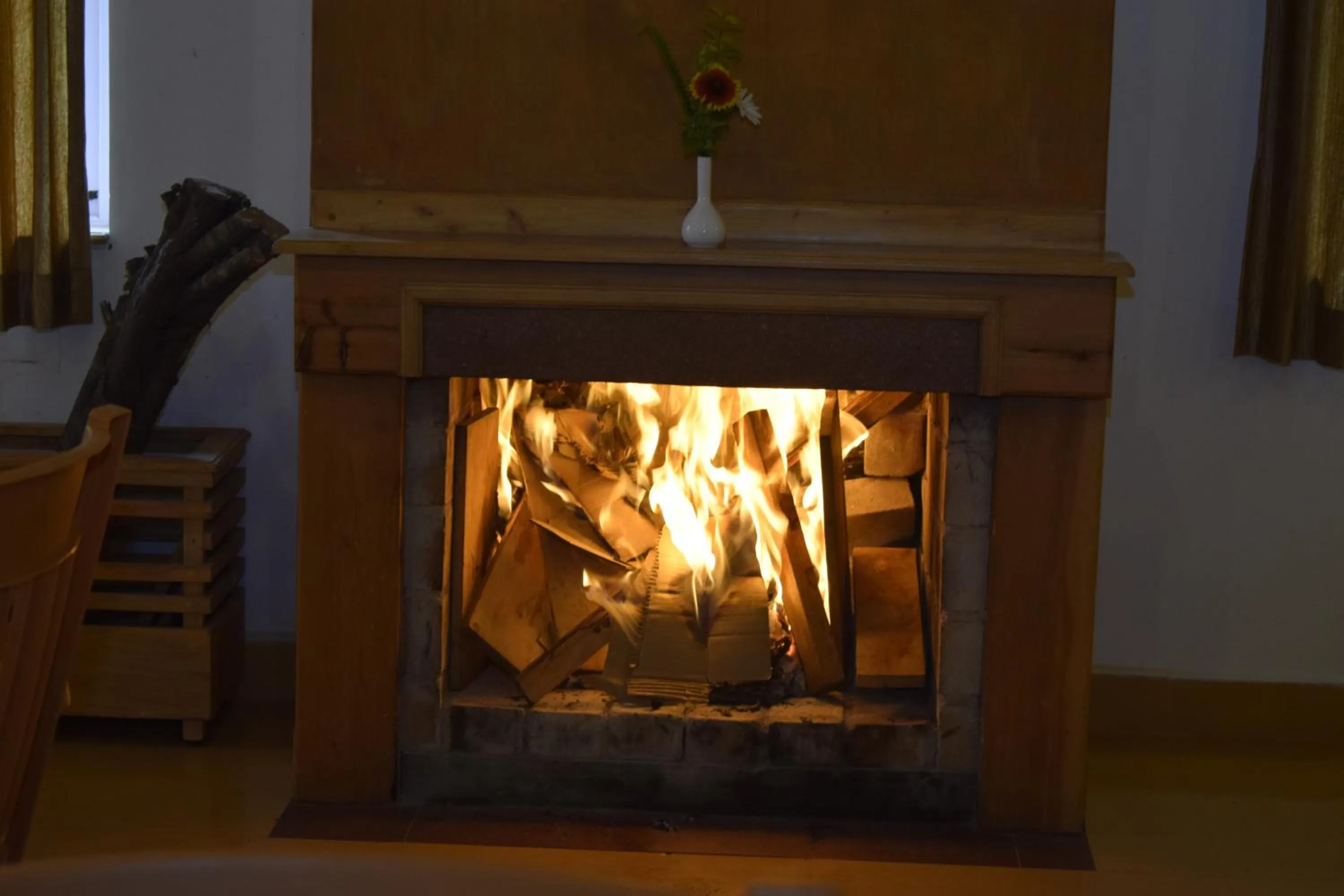 internet in Altius Nest Hotel