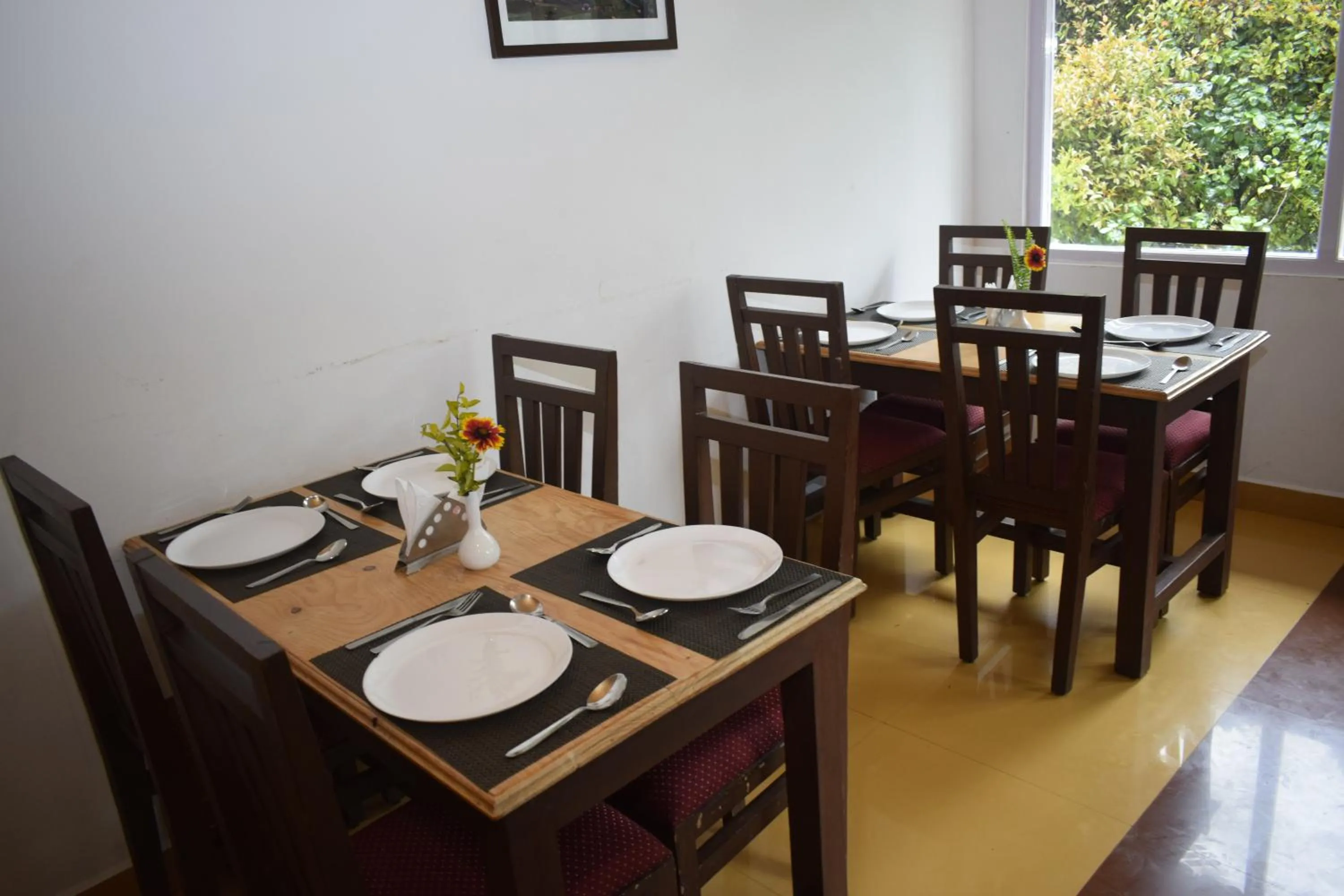 Restaurant/places to eat in Altius Nest Hotel