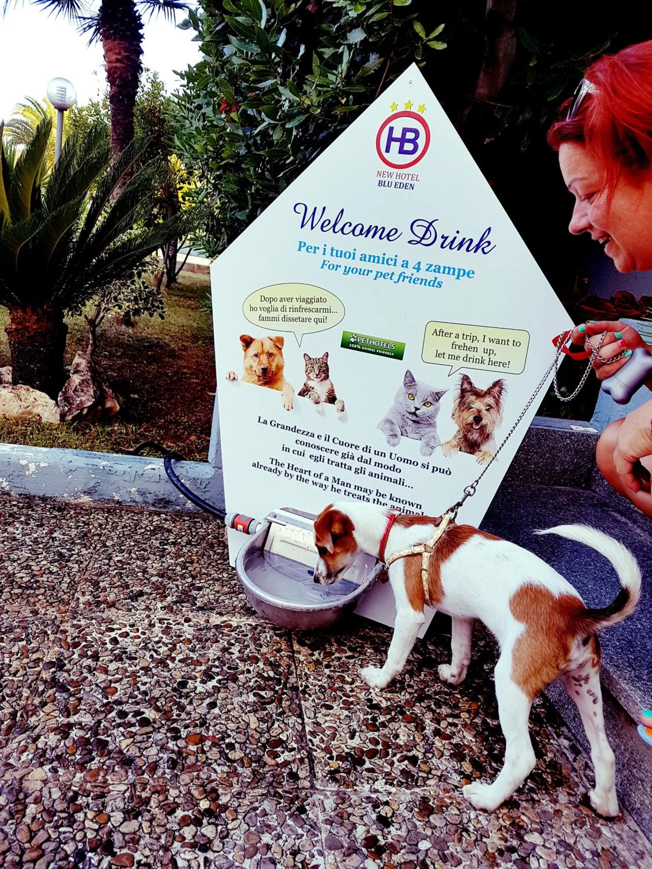 Facade/entrance in Hotel Blu Eden