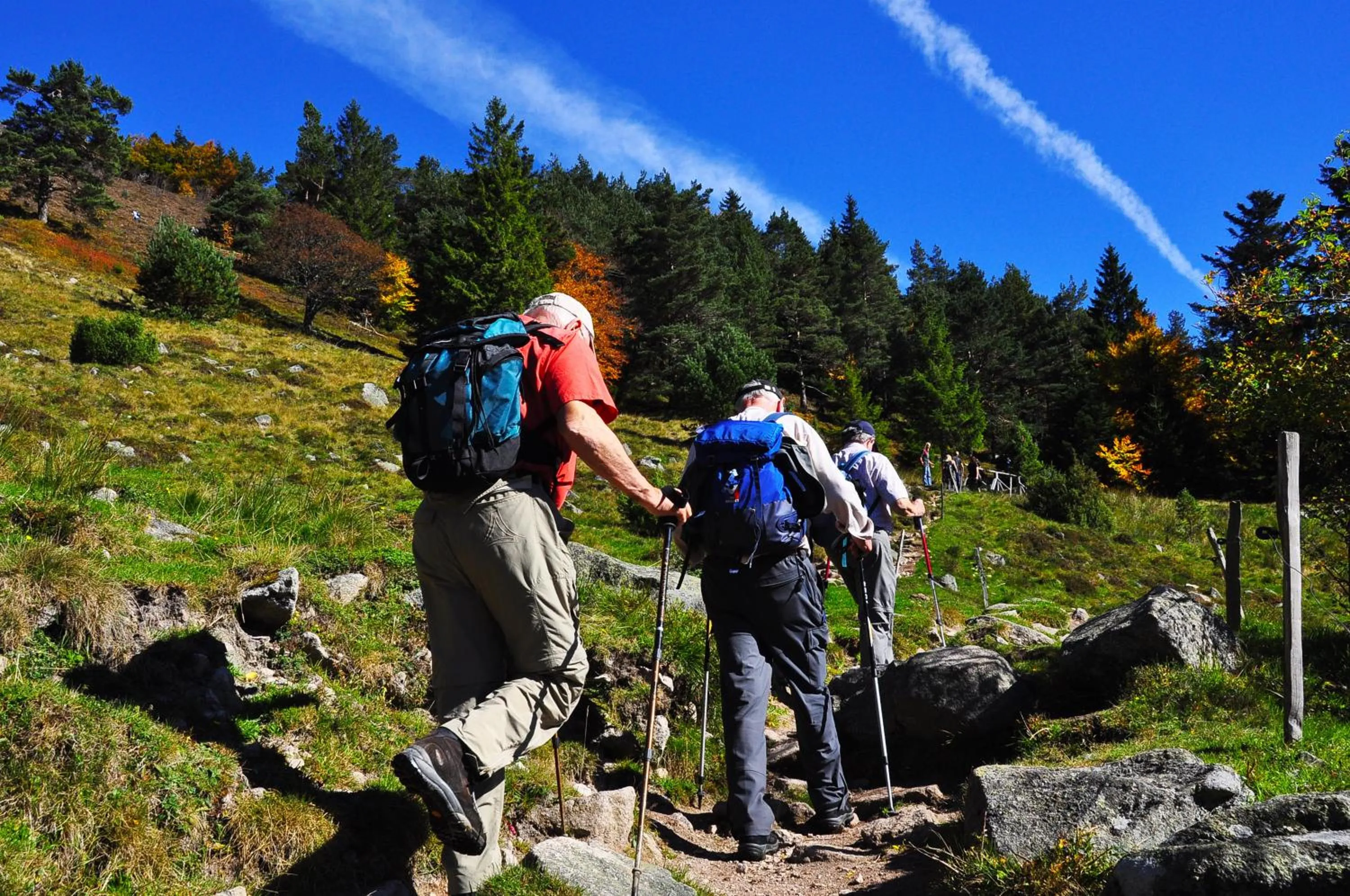 People in Logis Hôtel - Restaurant Aux Bruyères