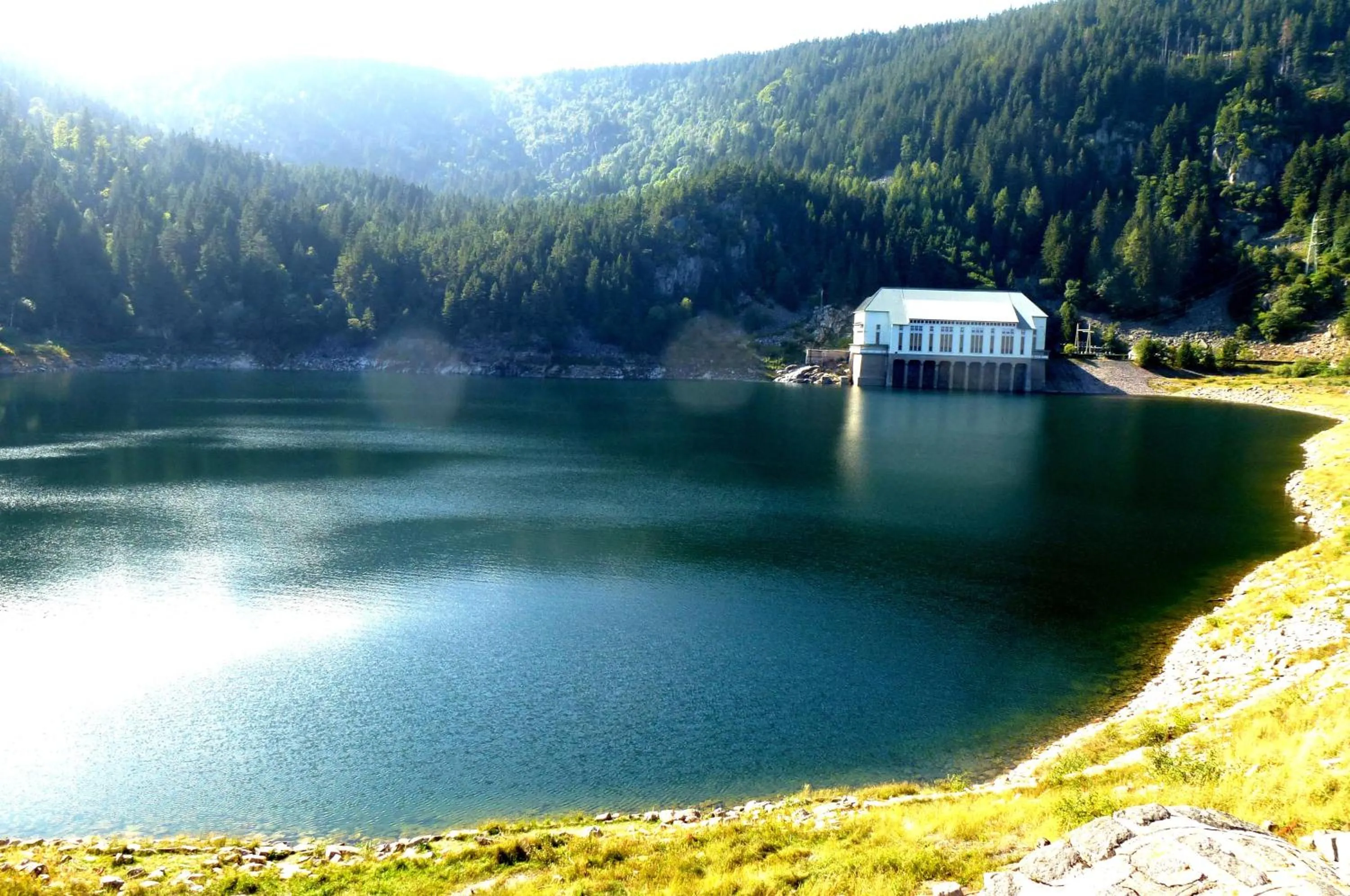Natural landscape in Logis Hôtel - Restaurant Aux Bruyères