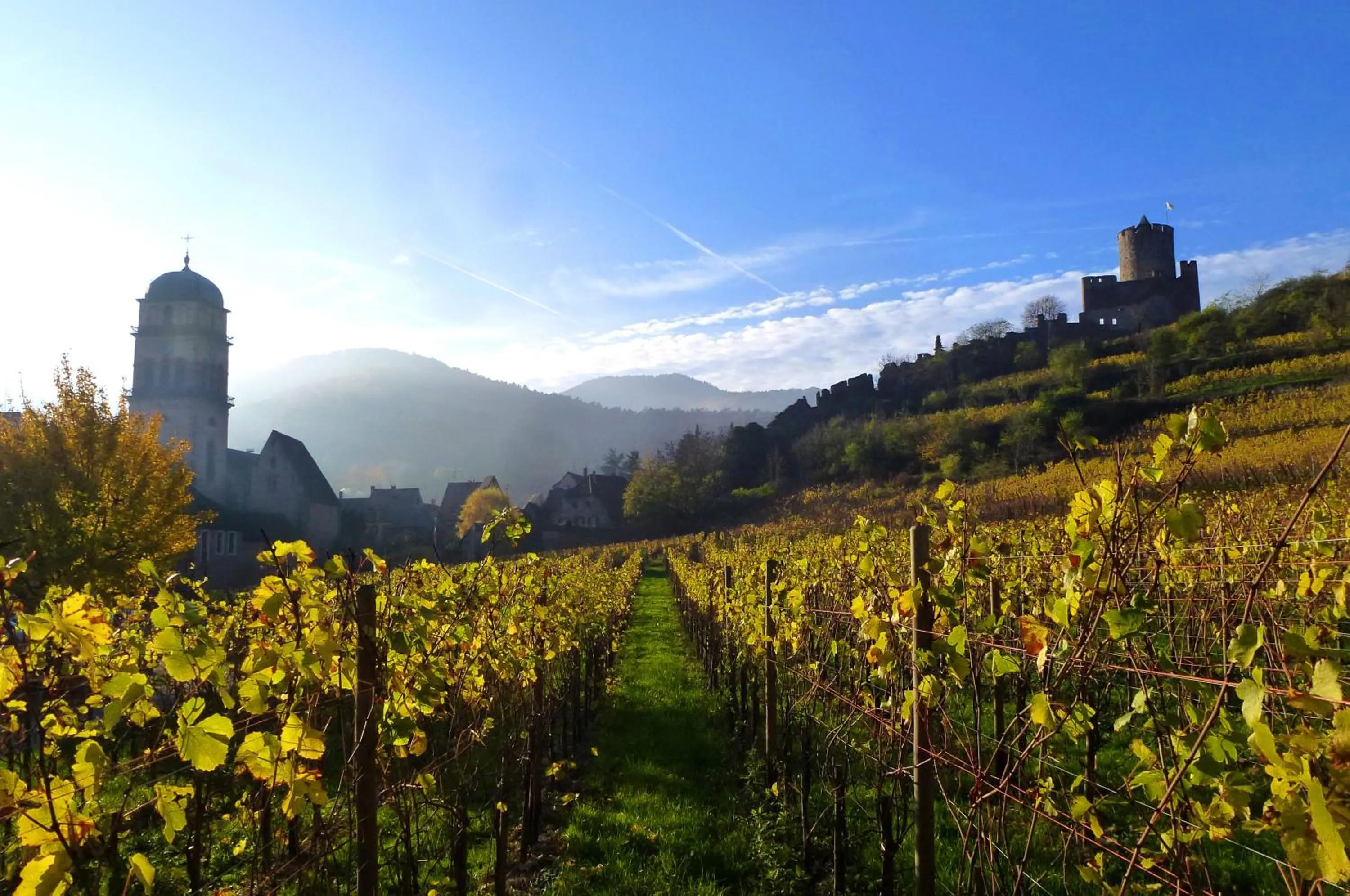 Natural landscape in Logis Hôtel - Restaurant Aux Bruyères