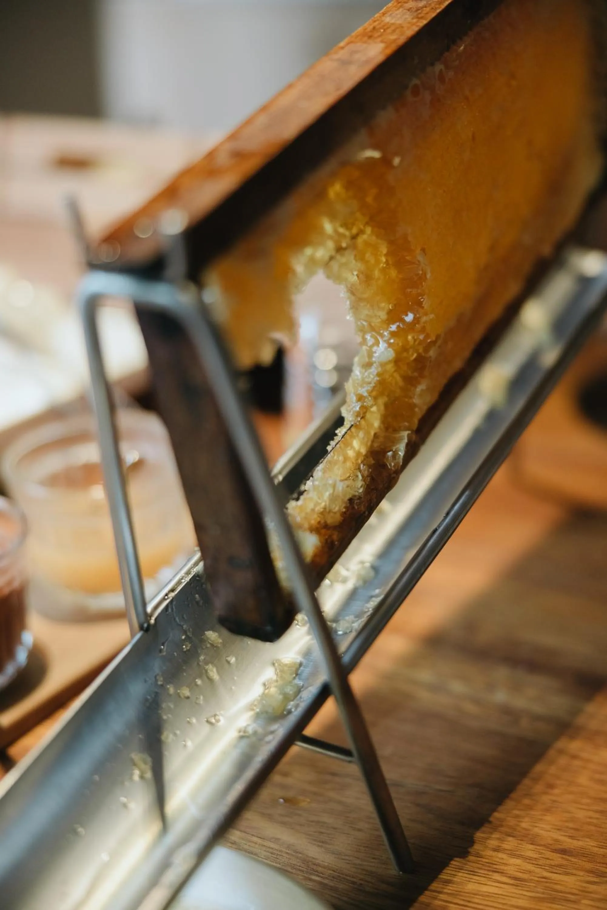 Restaurant/places to eat in NINE DOTS Azorean Art Boutique Hotel