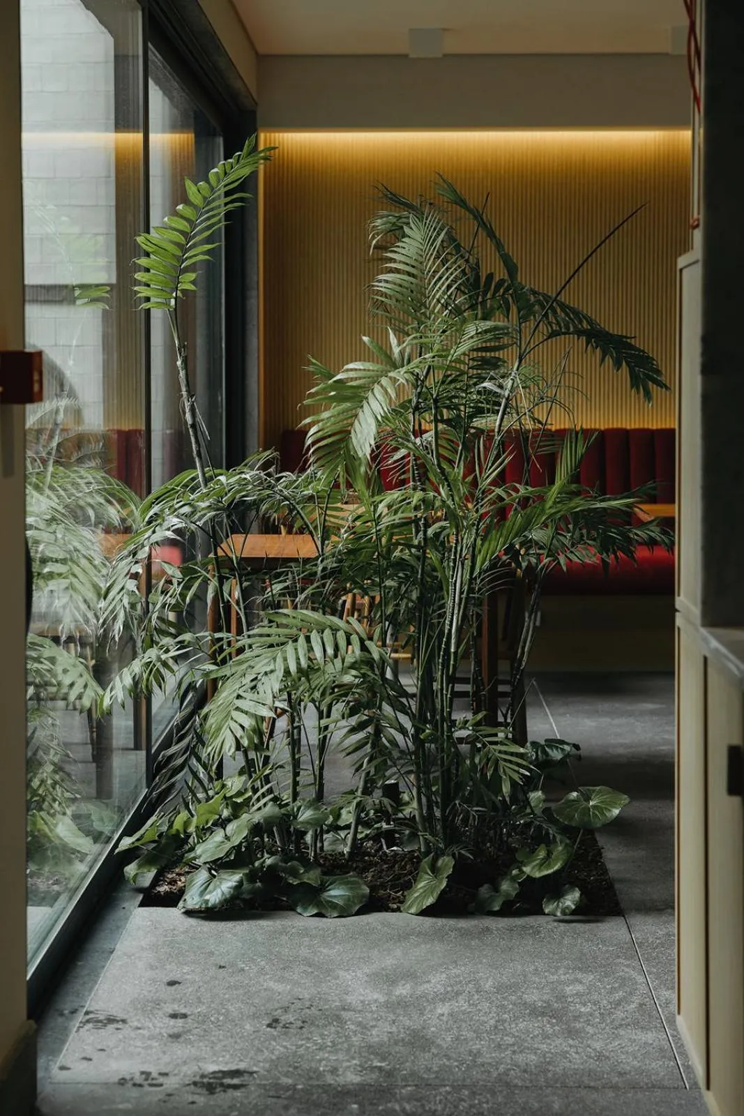 Restaurant/places to eat in NINE DOTS Azorean Art Boutique Hotel