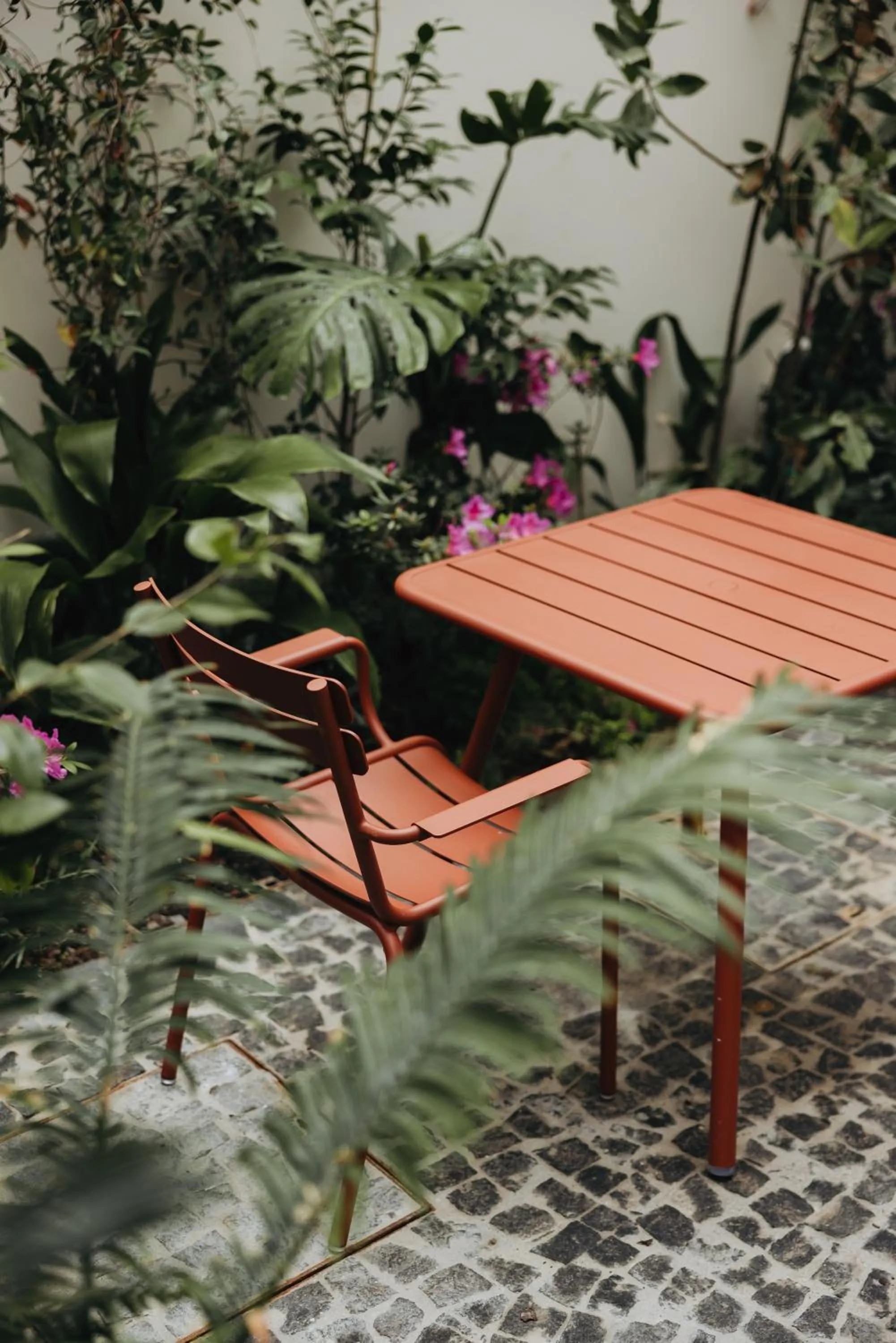 Garden in NINE DOTS Azorean Art Boutique Hotel