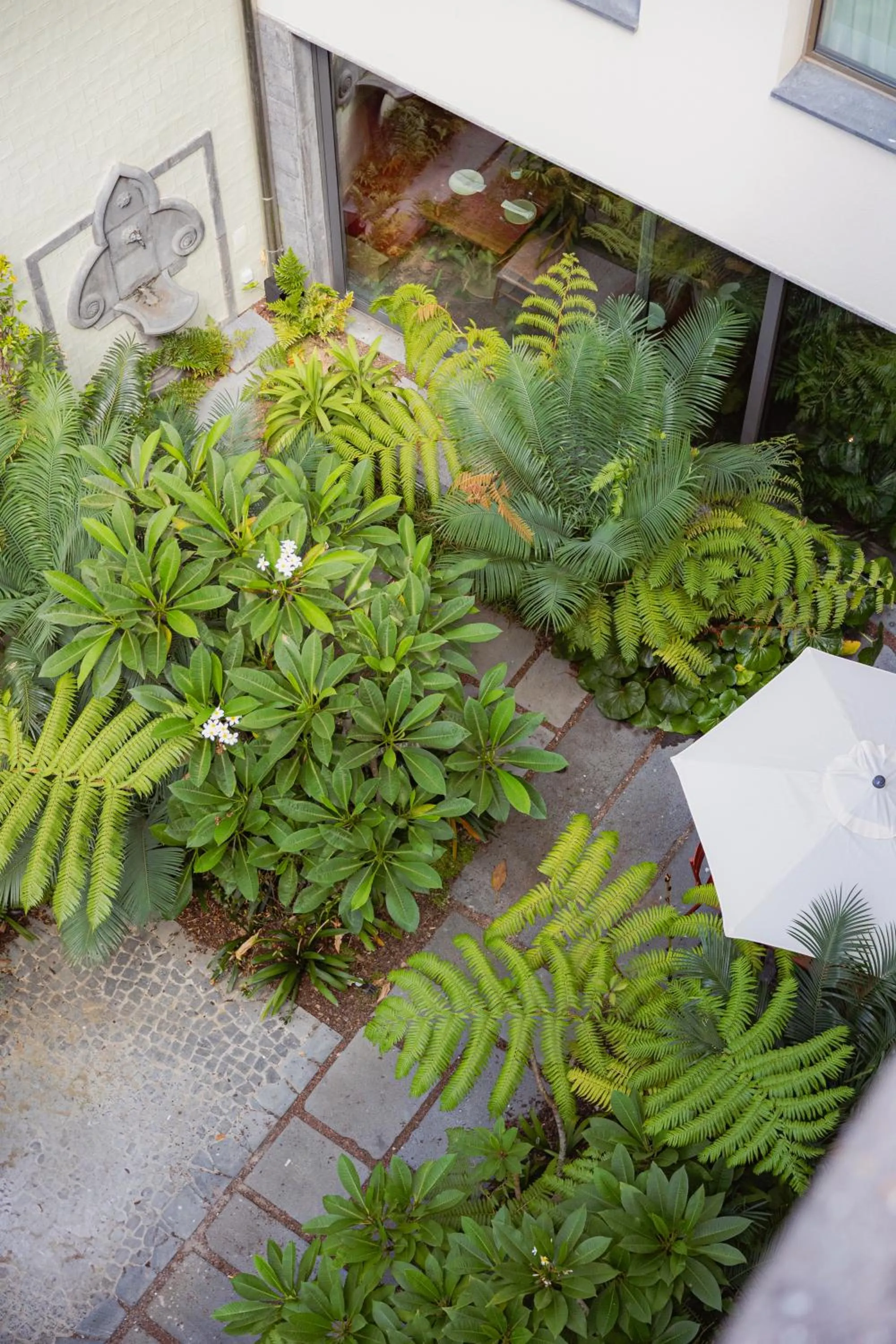 Garden in NINE DOTS Azorean Art Boutique Hotel