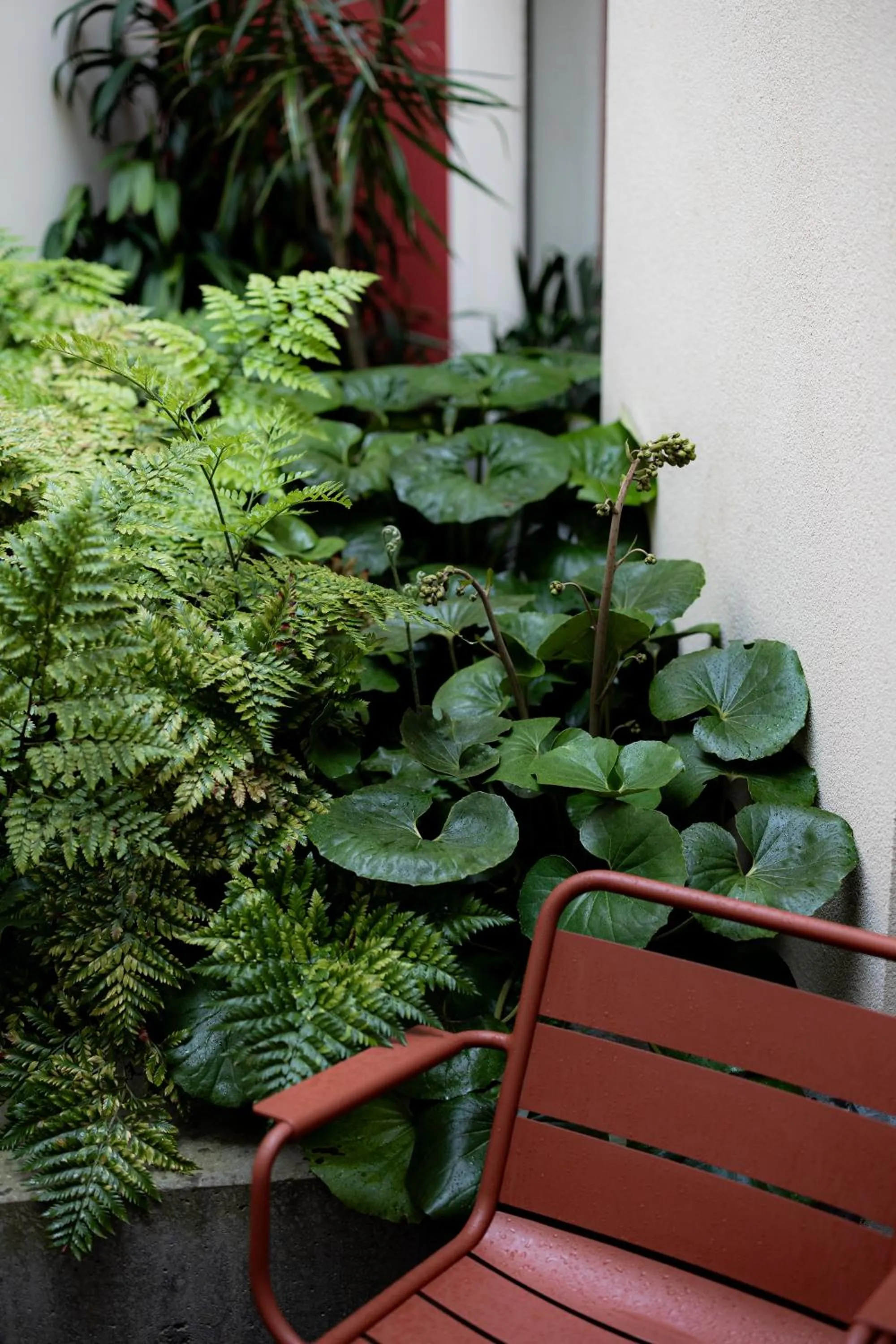 Patio in NINE DOTS Azorean Art Boutique Hotel