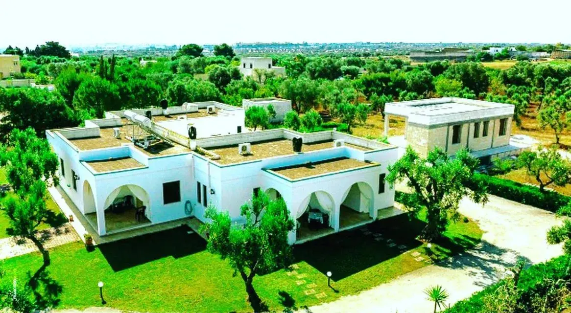 Oasi Degli Ulivi Oasi Degli Ulivi
