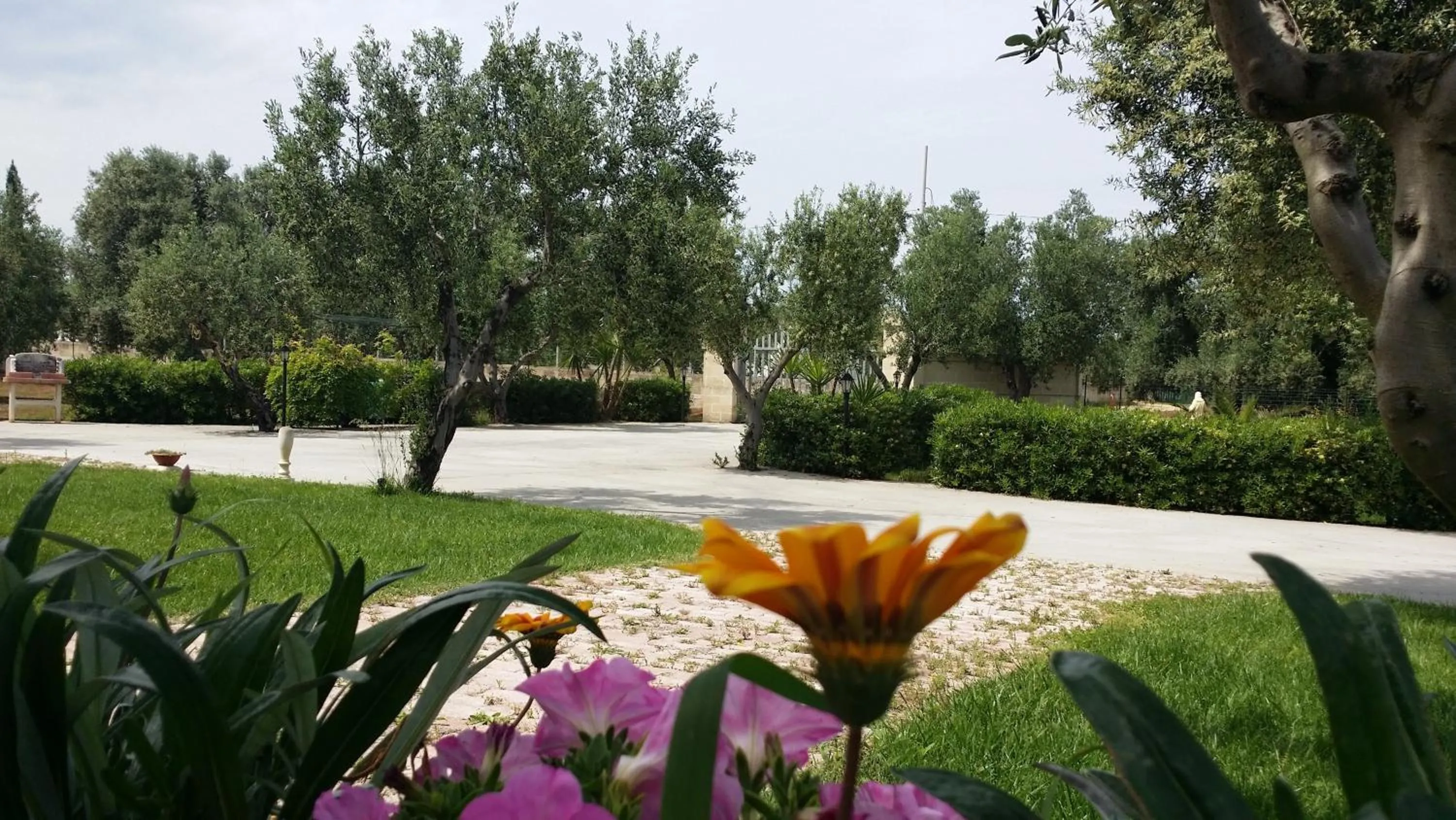 Oasi Degli Ulivi