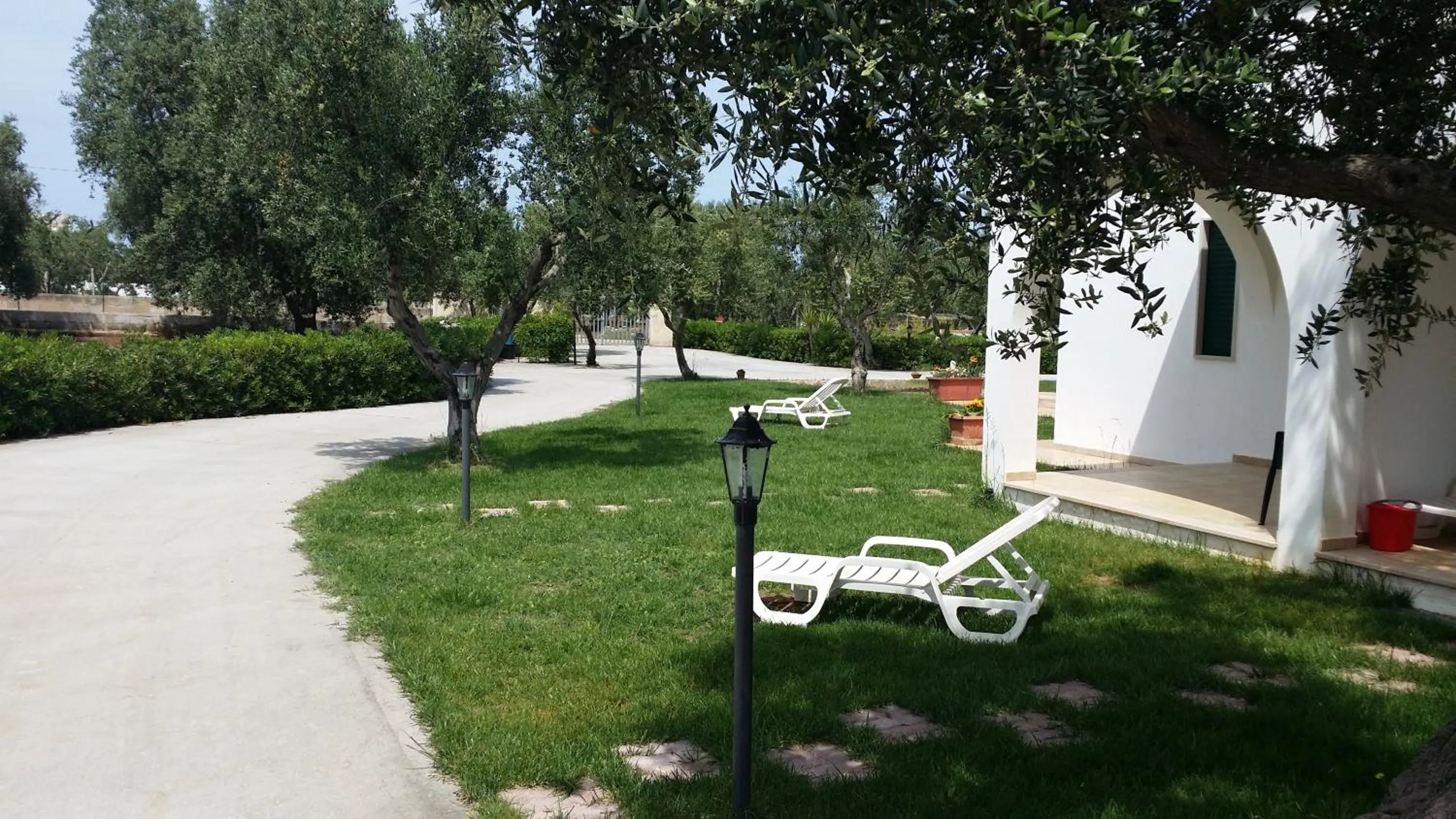 Oasi Degli Ulivi