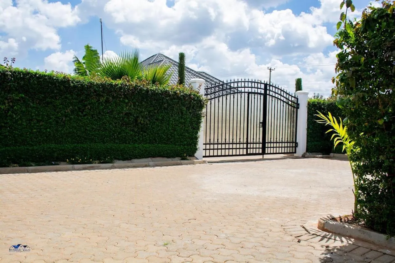 Day in Blueberry Villas