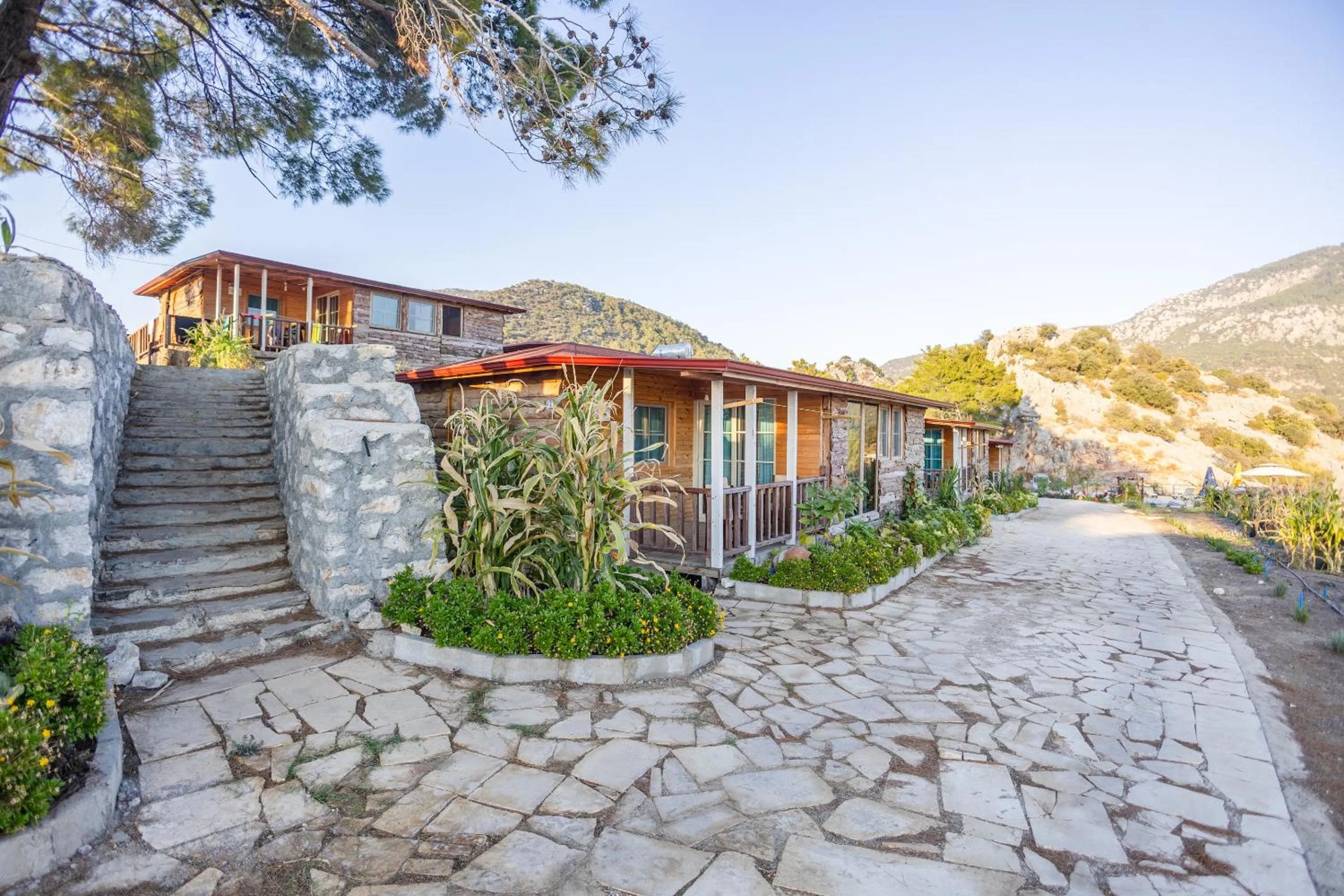 Garden in Kadir's Eco Life