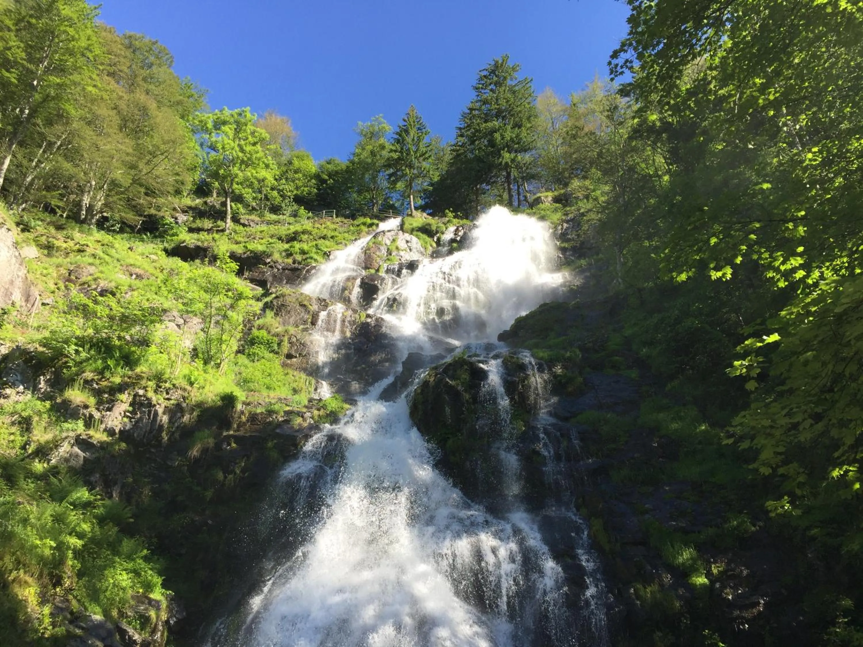 Property building in Pension Glöcklehof