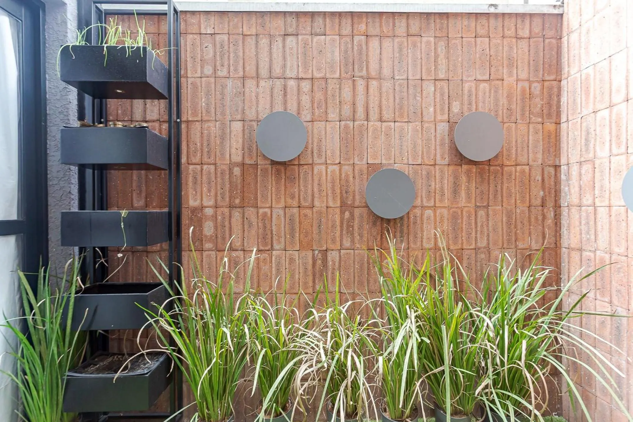 Garden in Start - Vila Izabel | Gonzaga Stays