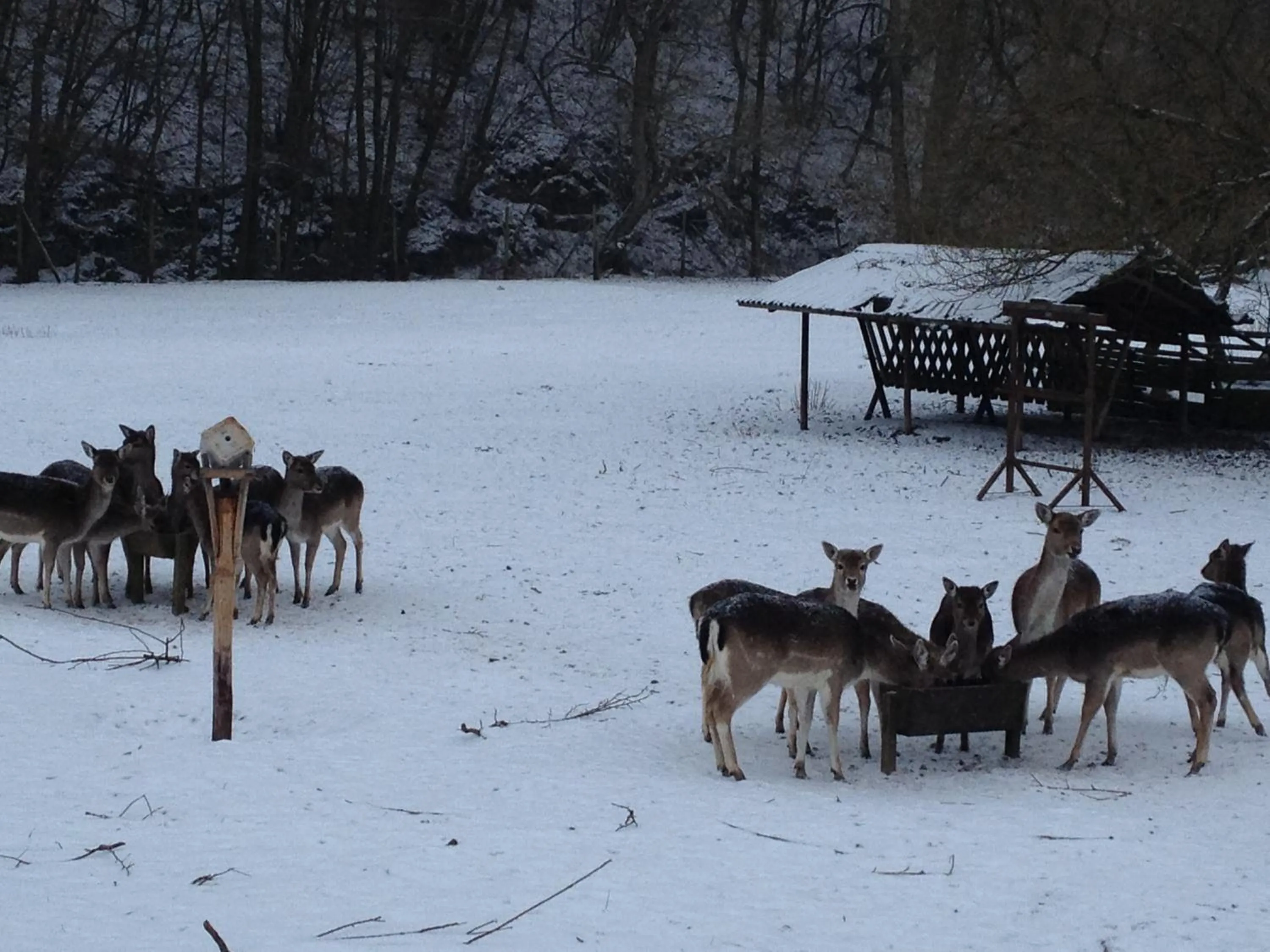 Property building in Hotel Forsthaus