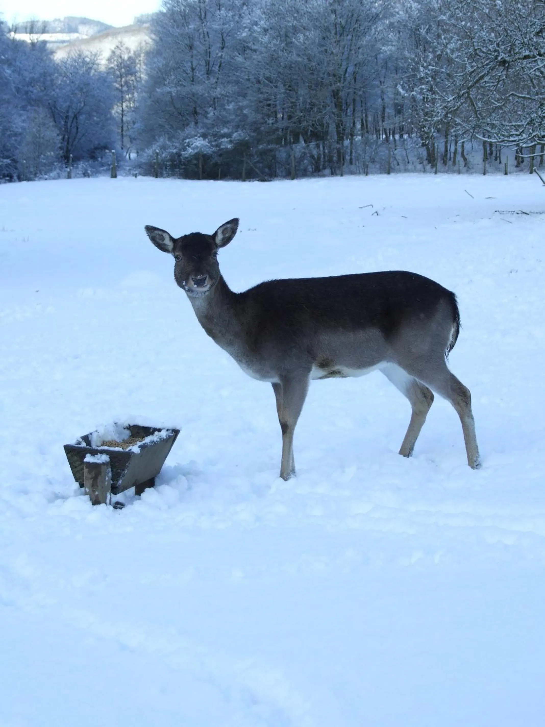 Neighbourhood in Hotel Forsthaus