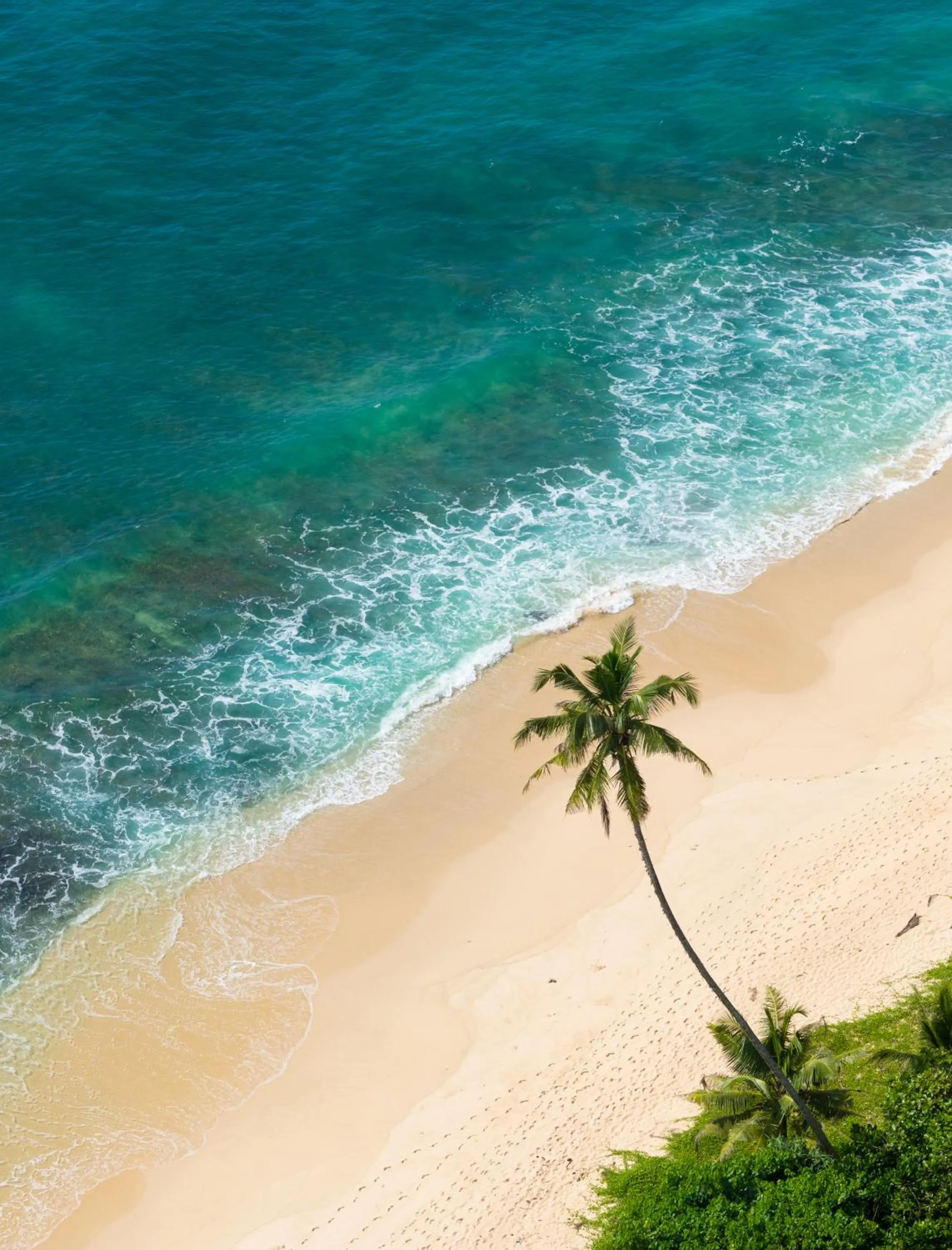 Natural landscape in Vis Ta Vie -Thema Collection