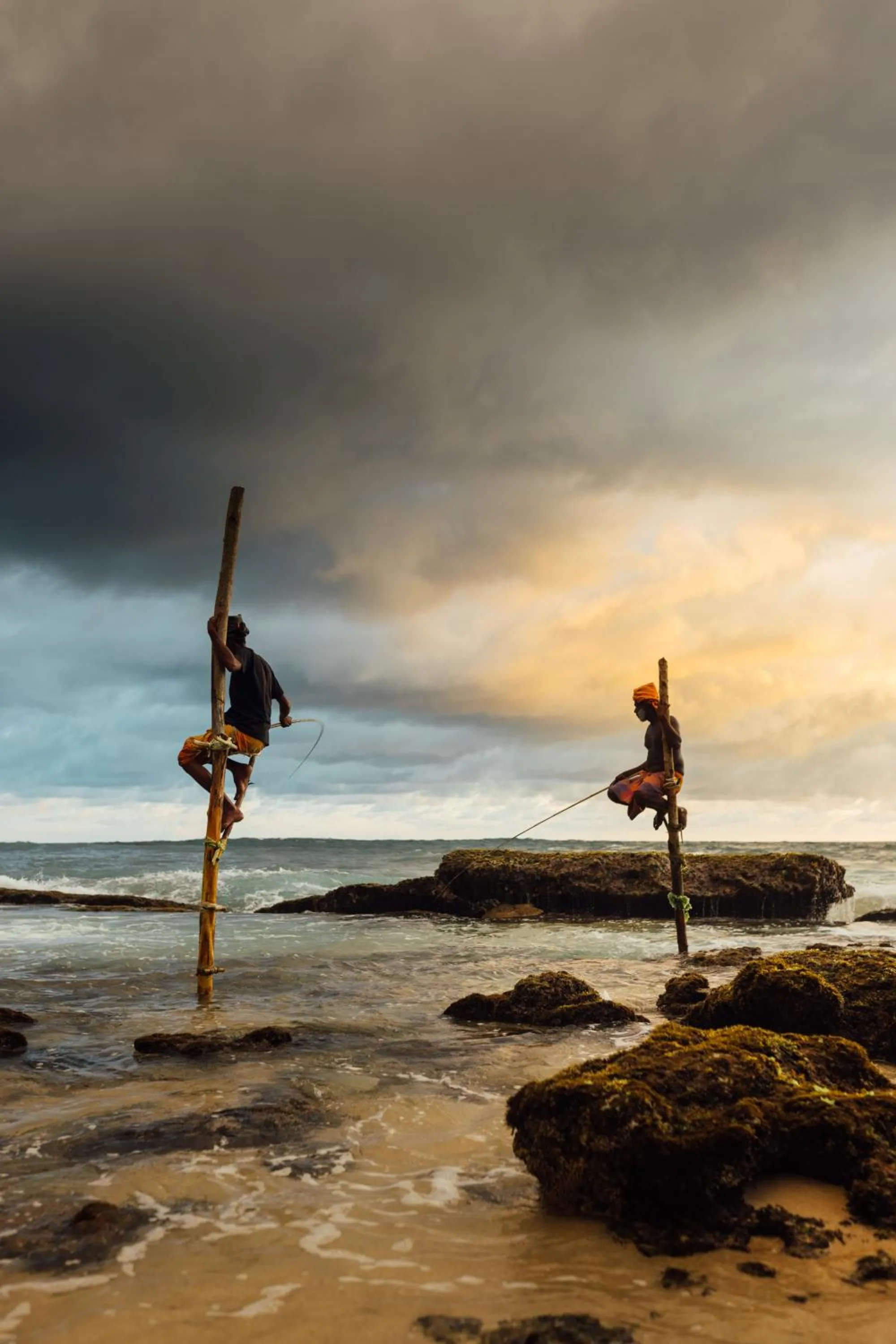 Activities in Vis Ta Vie -Thema Collection