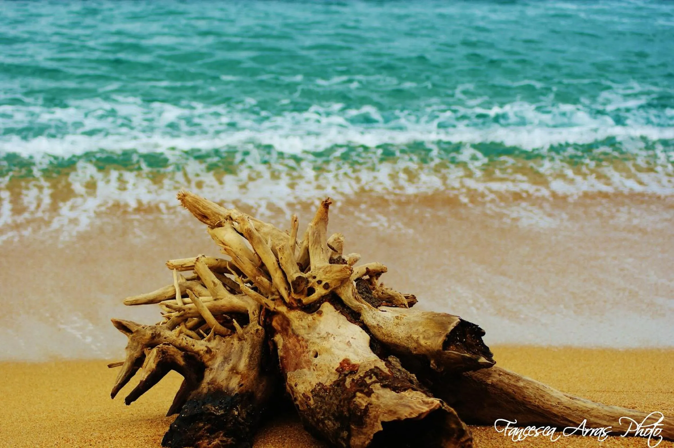 Beach in Residenze L'Isola Surf House