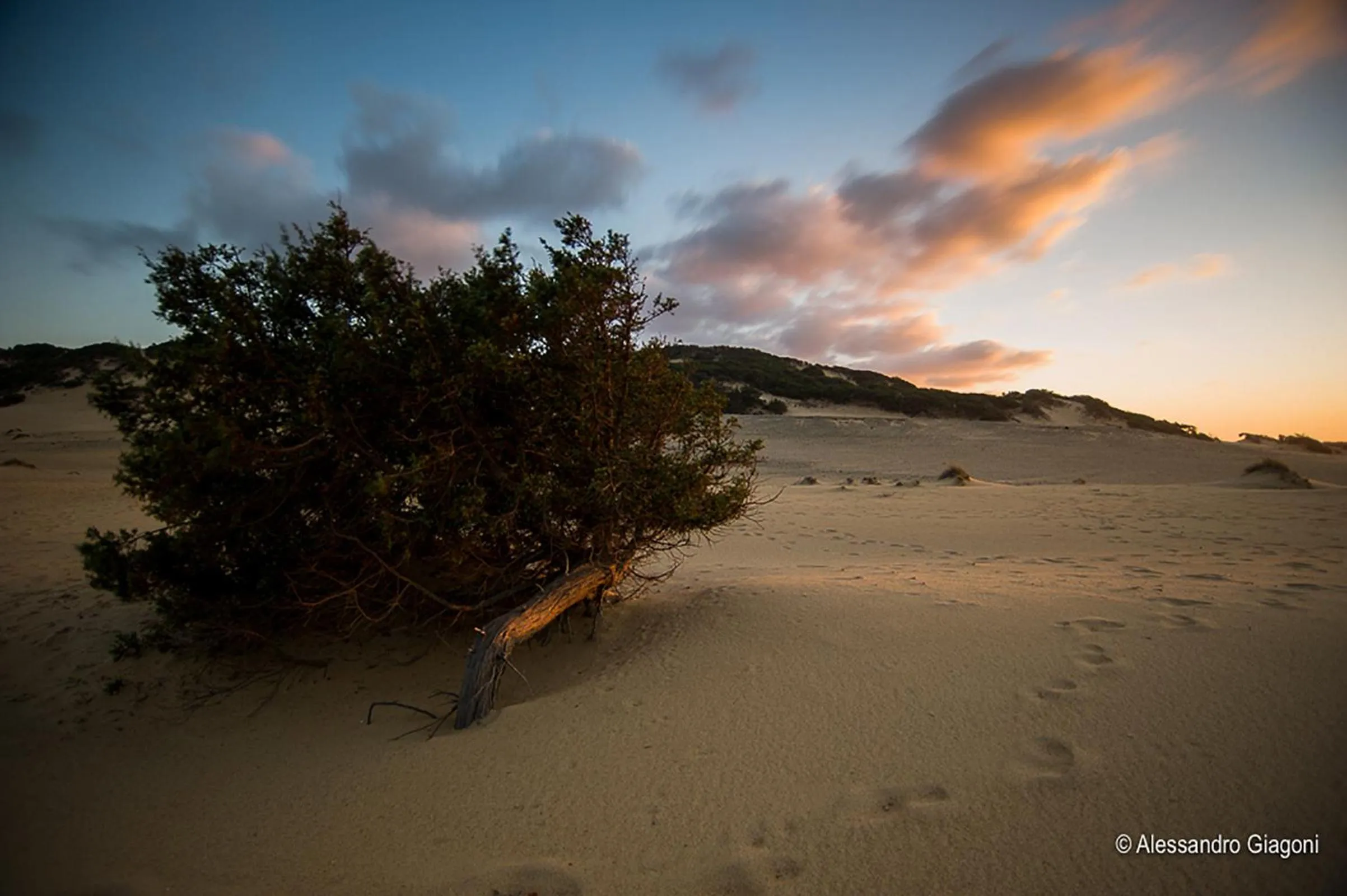 Beach in Residenze L'Isola Surf House
