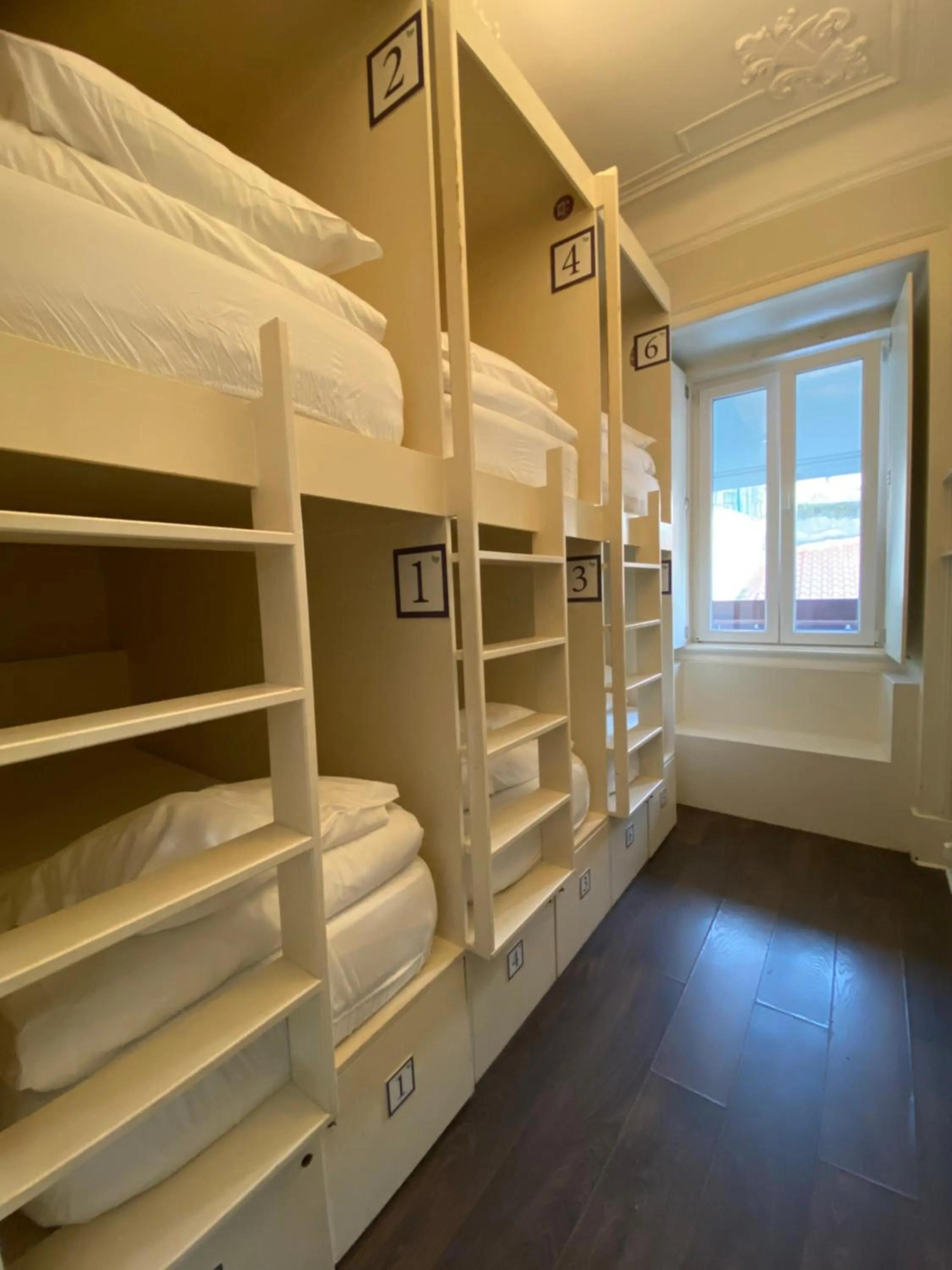 bunk bed, Bed in Green Heart Hostel