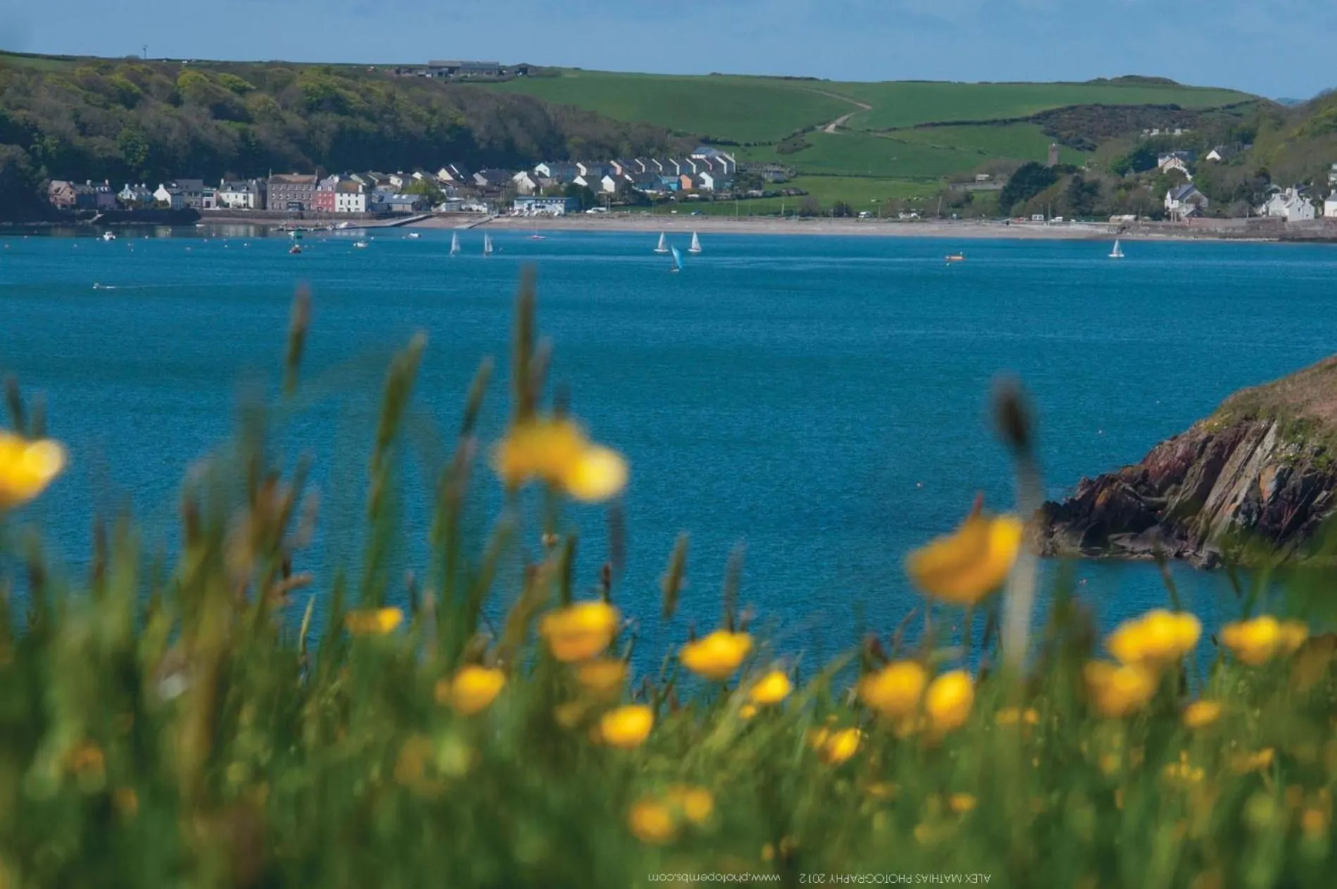 Floor plan in The Apple Store - 1 Bedroom Cottage - St Ishmaels