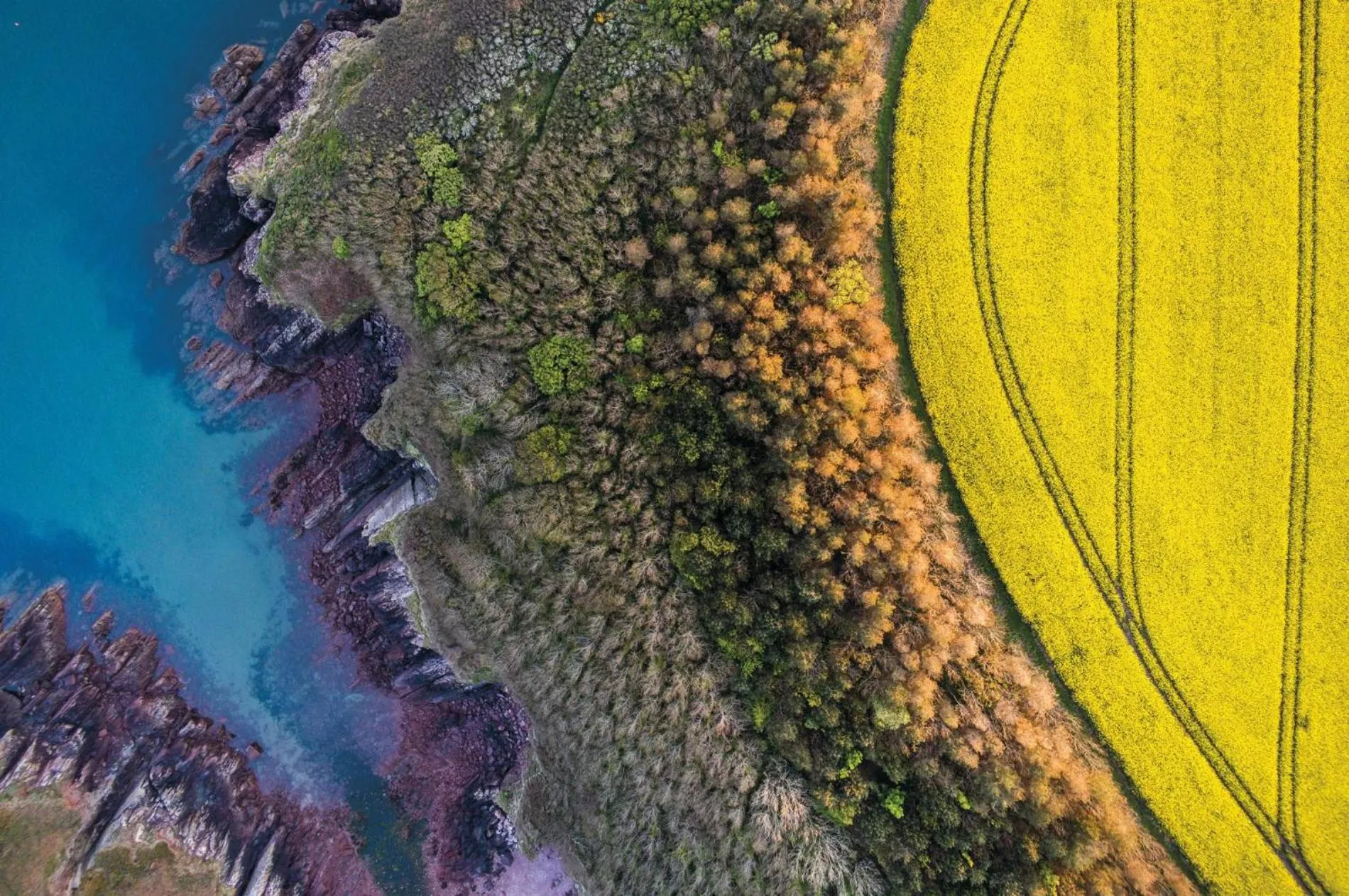 Floor plan in The Apple Store - 1 Bedroom Cottage - St Ishmaels