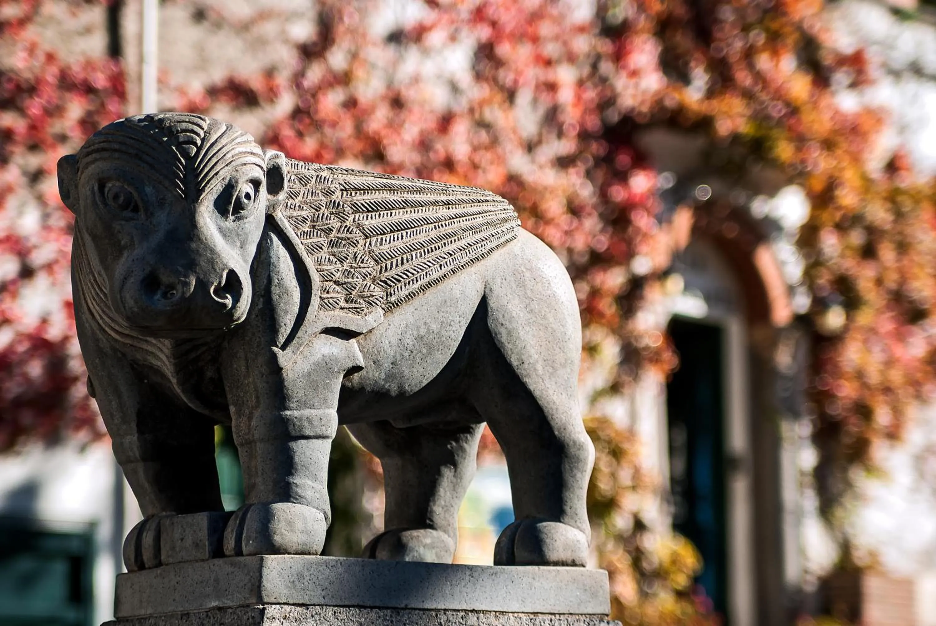 Decorative detail in La Moresca