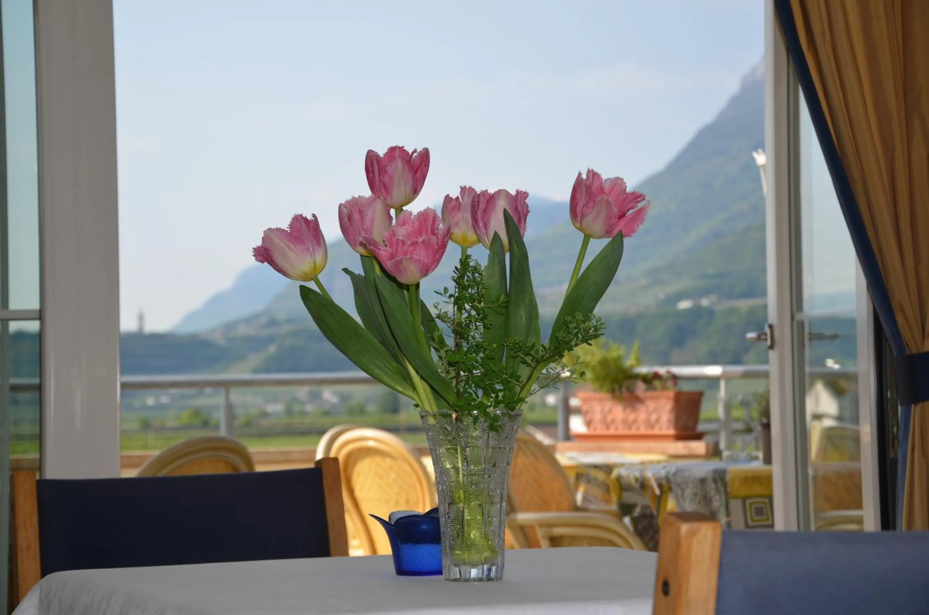 Summer in Hotel Greifenstein