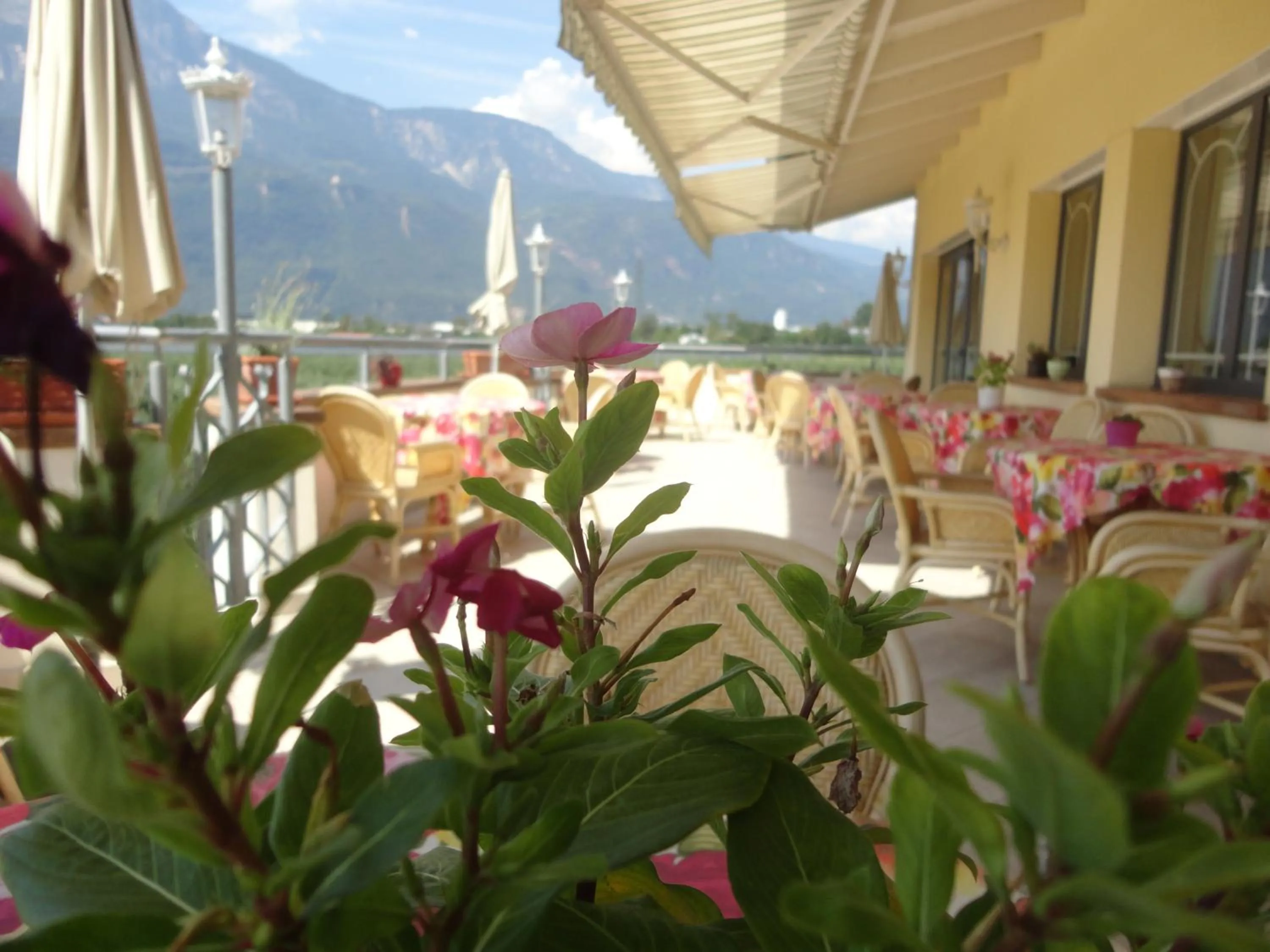 Decorative detail in Hotel Greifenstein