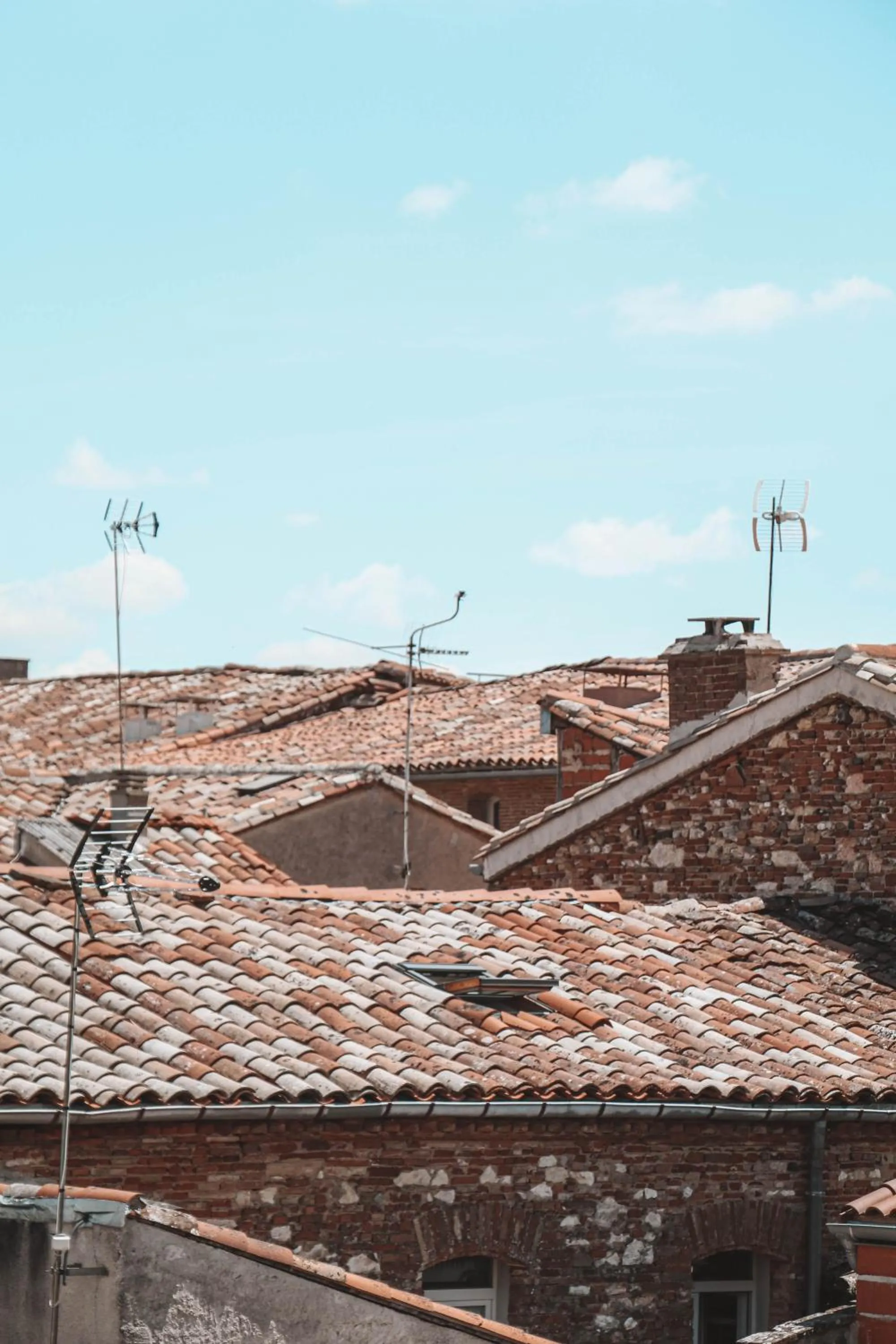 Garden view in Maison d'Hotes Delga