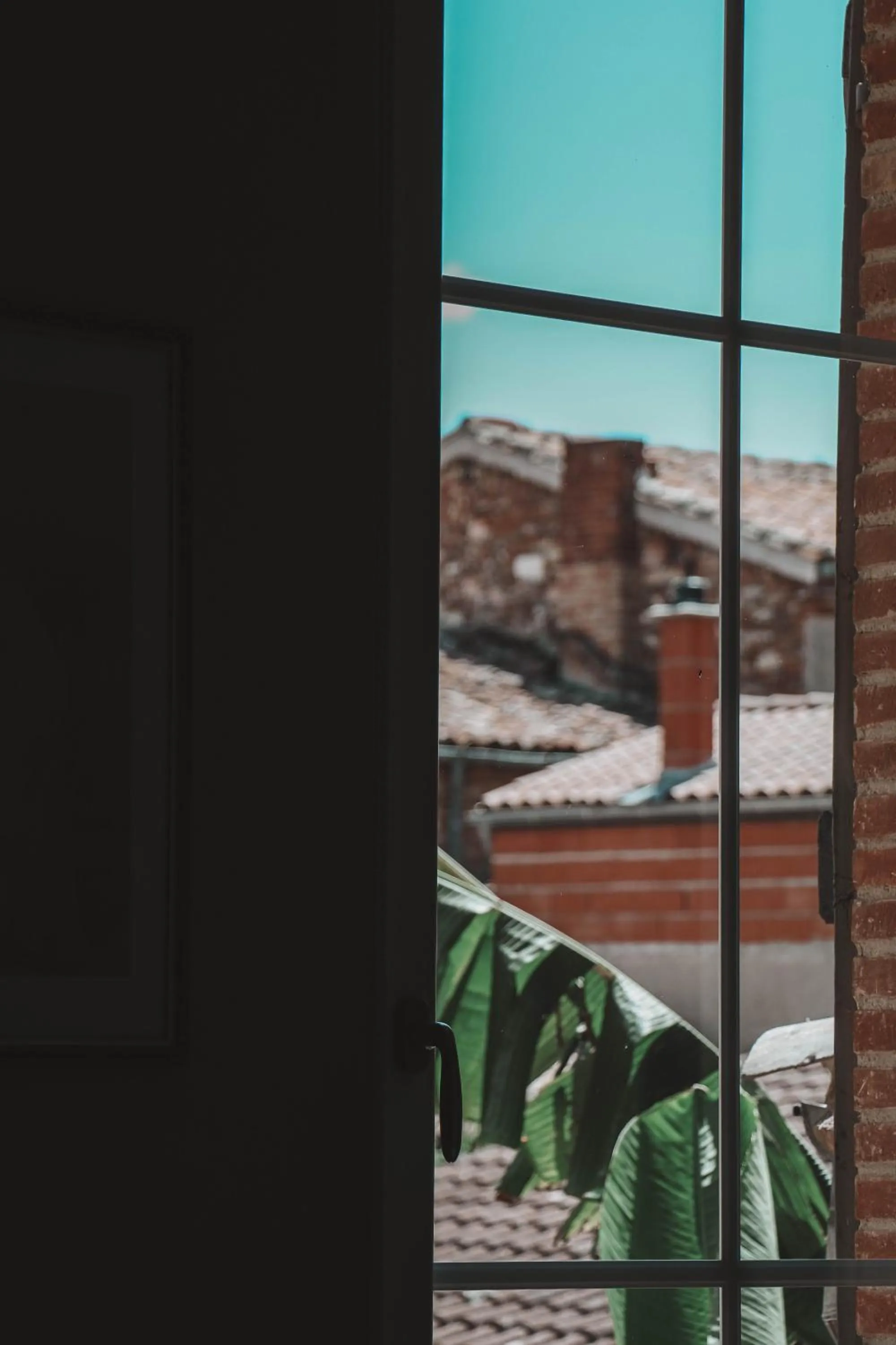 Garden view in Maison d'Hotes Delga