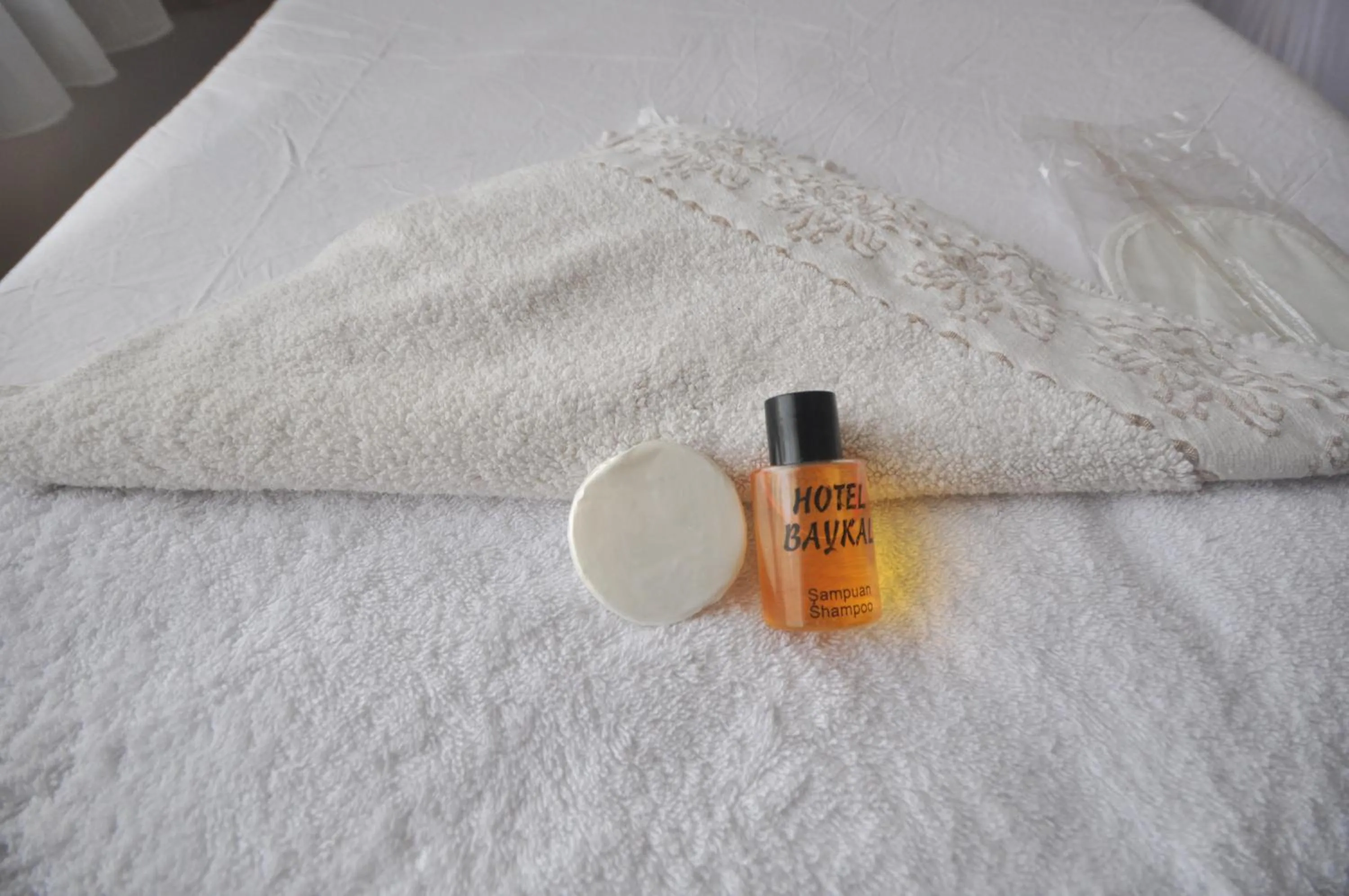 Property logo or sign, Bed in Hotel Baykal