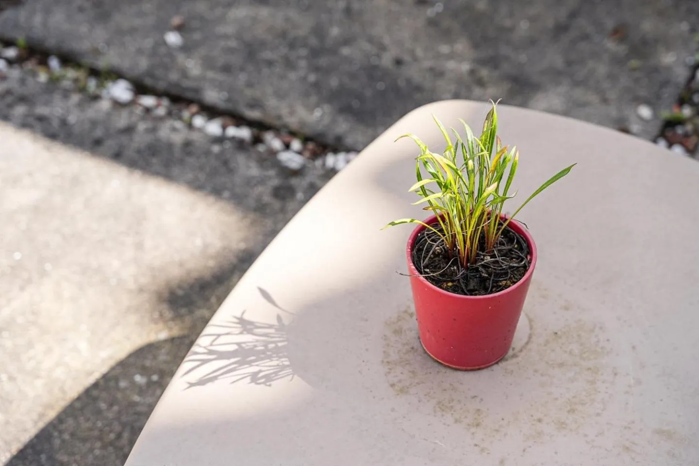 GuestReady - Charming House Marquês