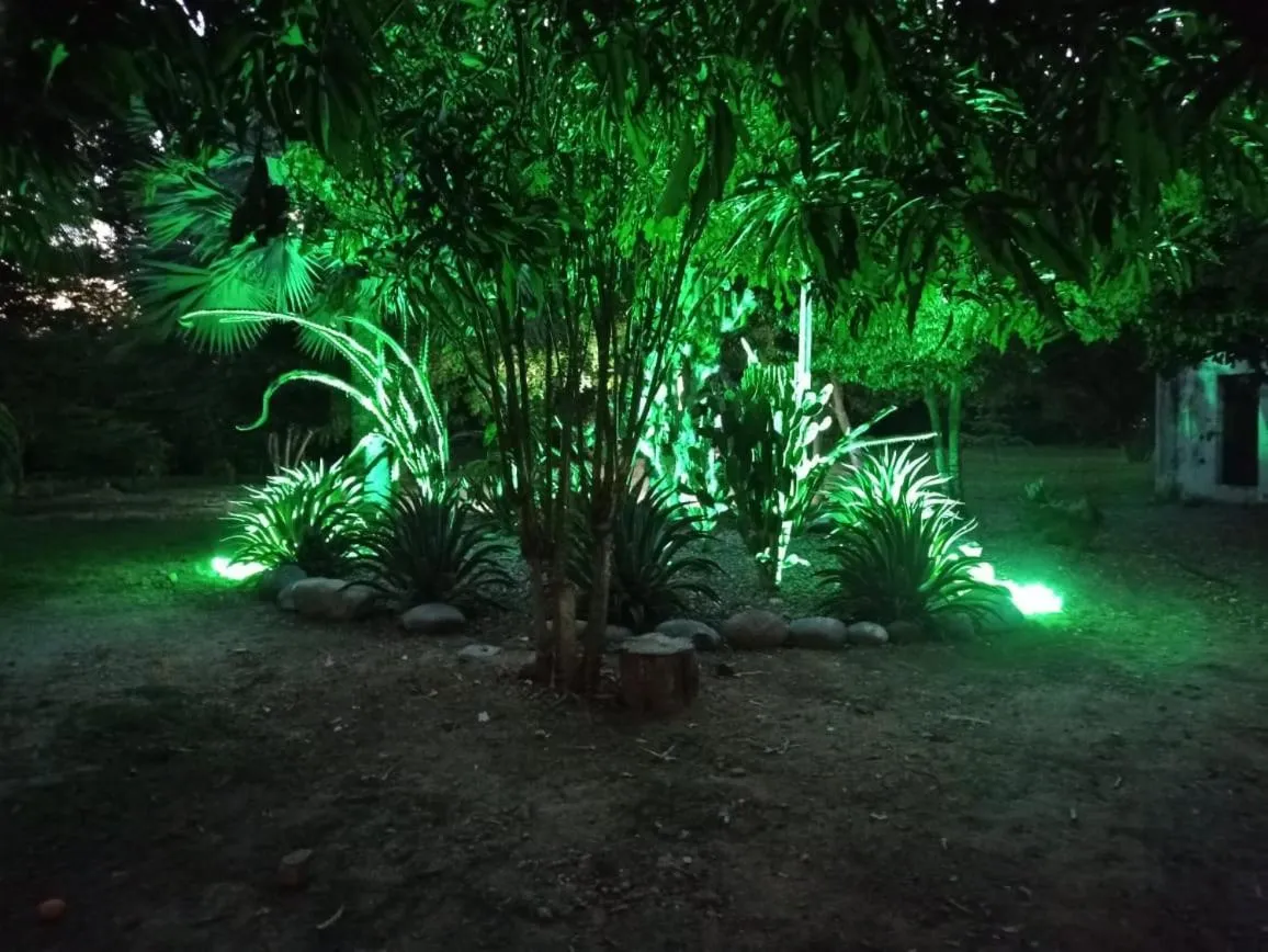 Garden in Arizona Ranch Hotel