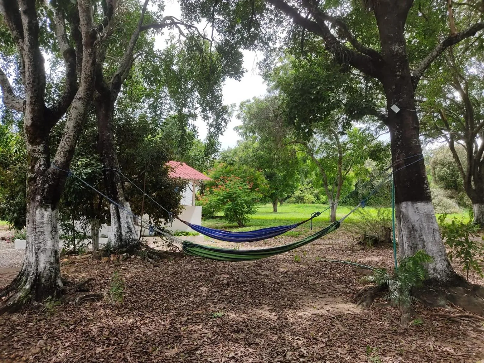 Garden in Arizona Ranch Hotel