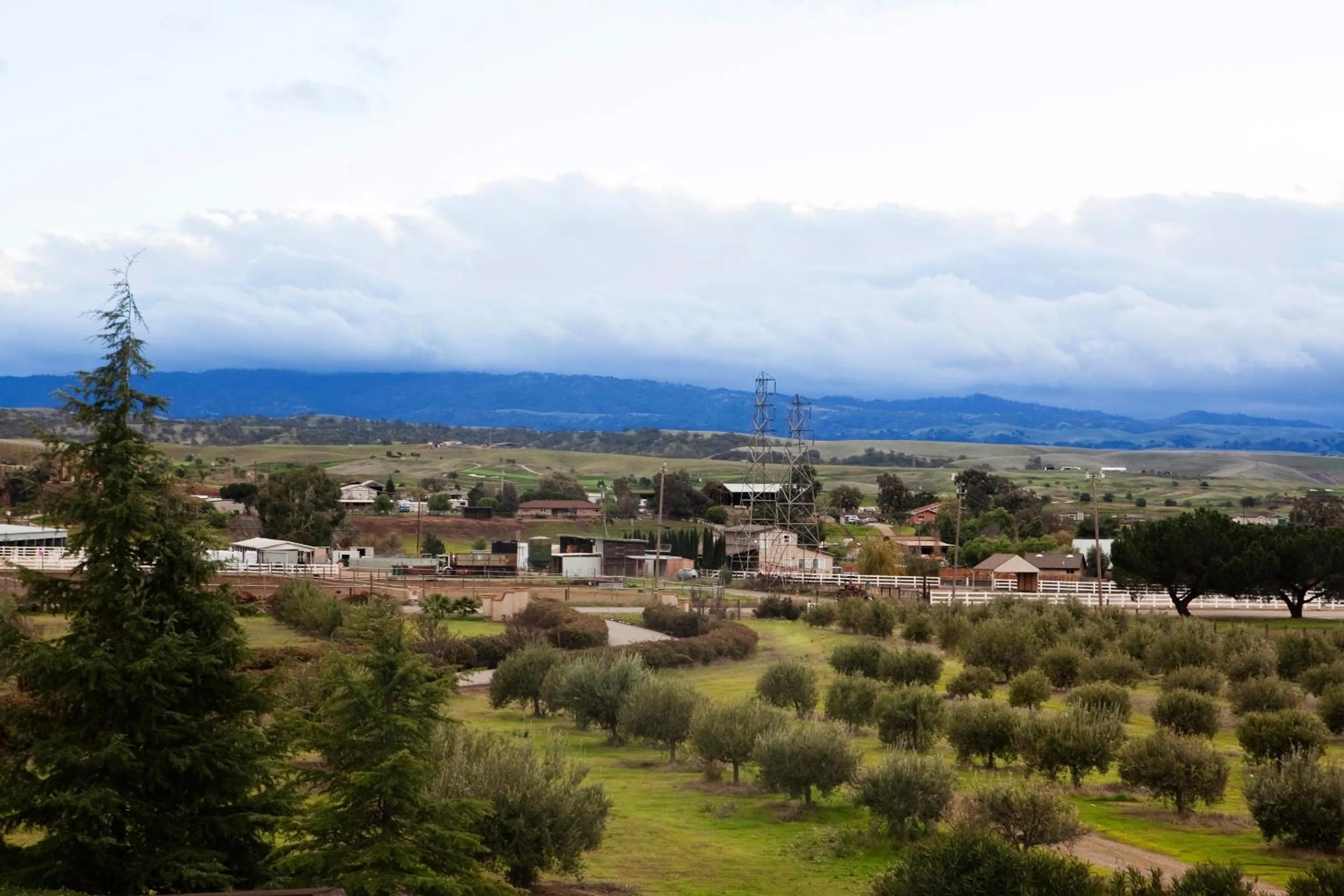 Purple Orchid Resort & Spa