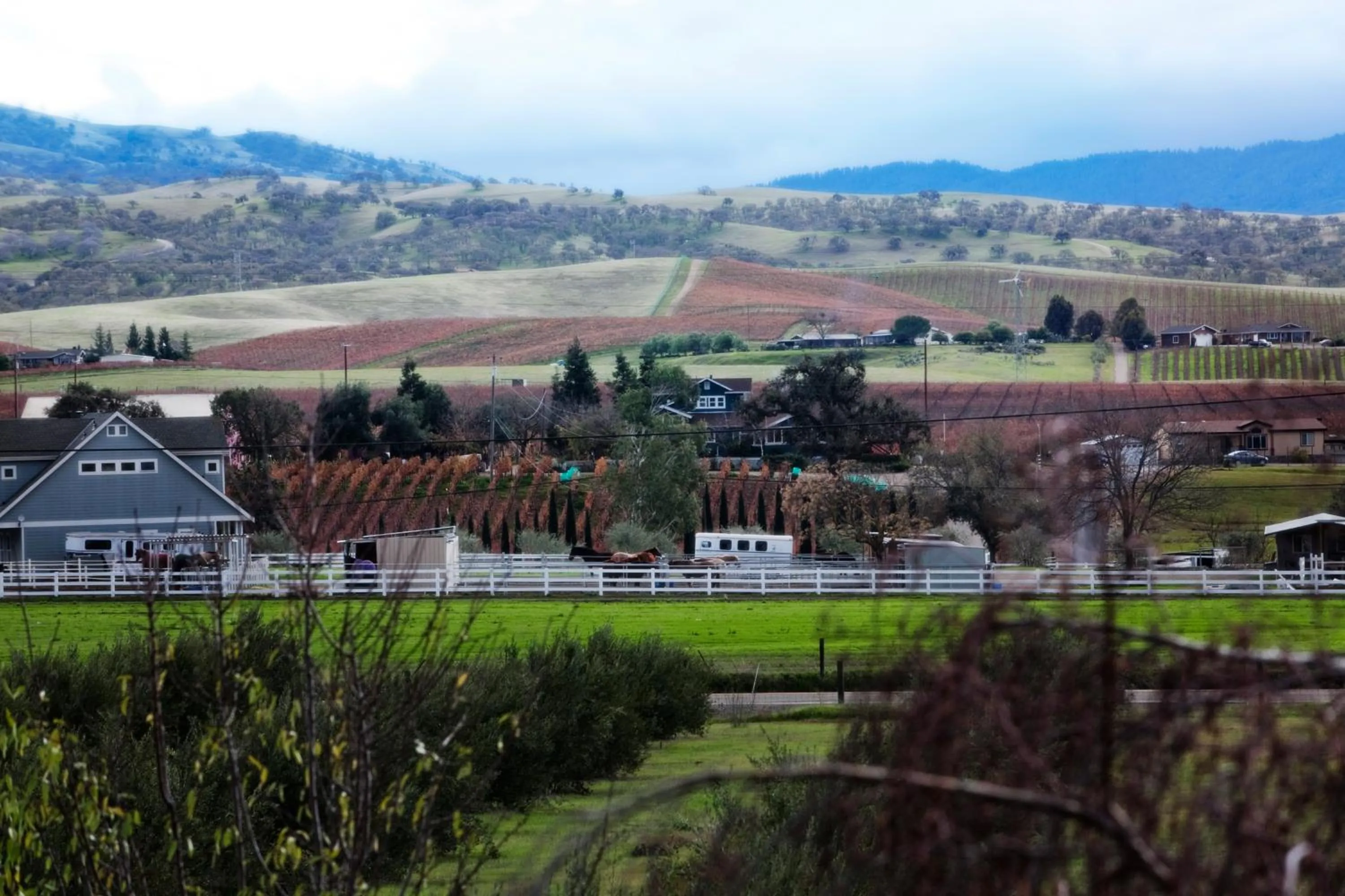 View (from property/room) in Purple Orchid Resort & Spa