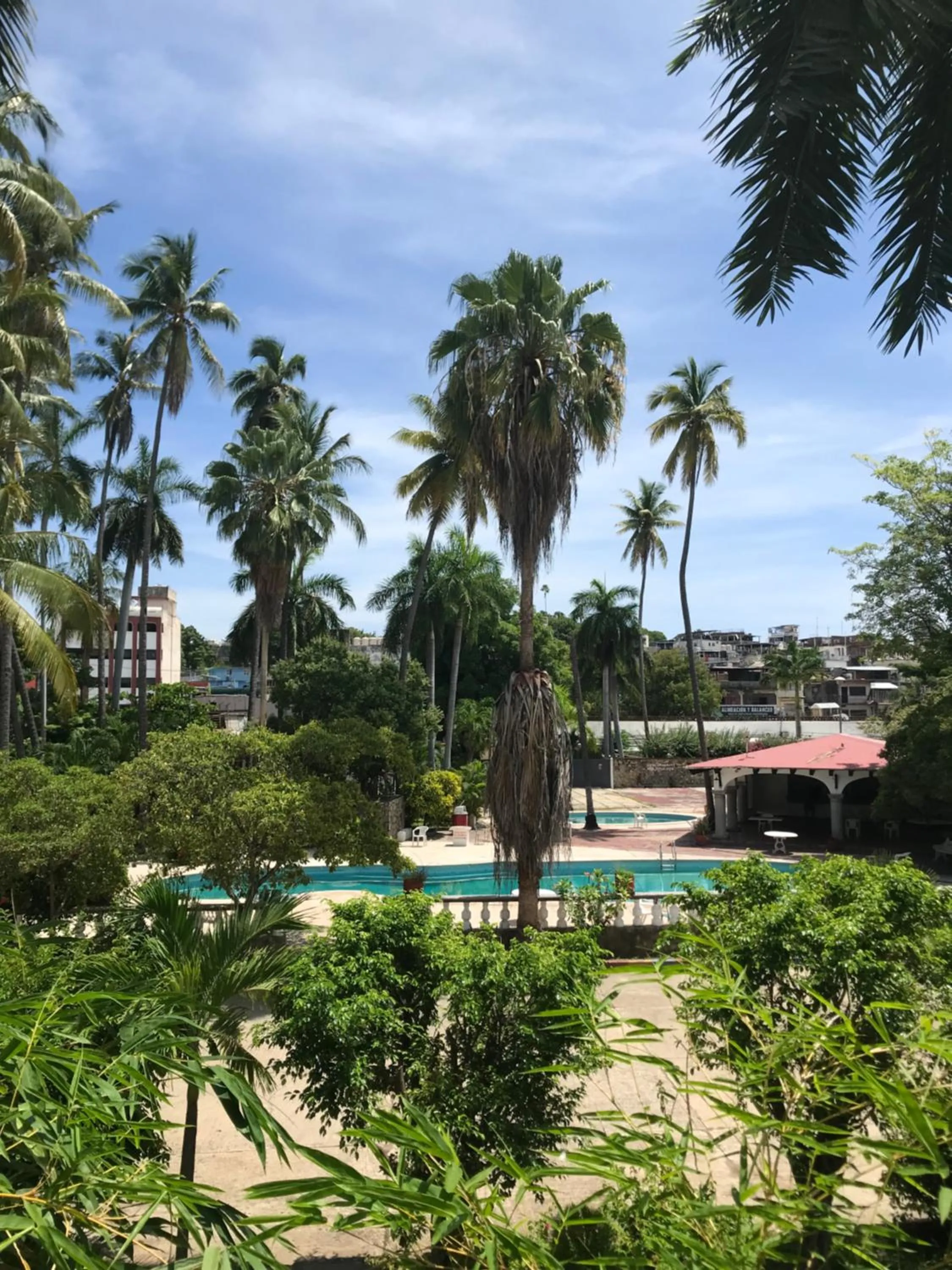 Garden in Hotel las hamacas