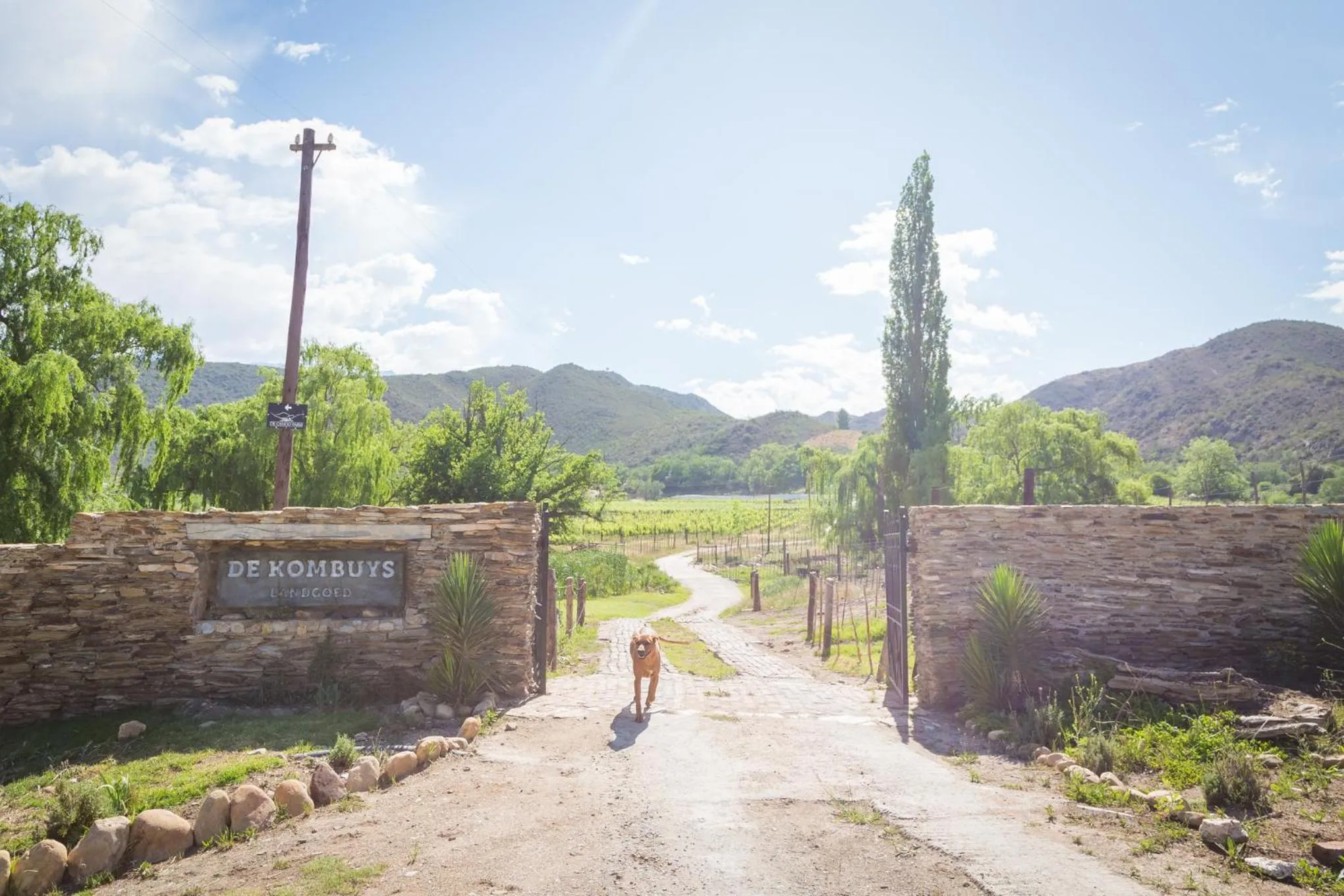Natural landscape in De Kombuys
