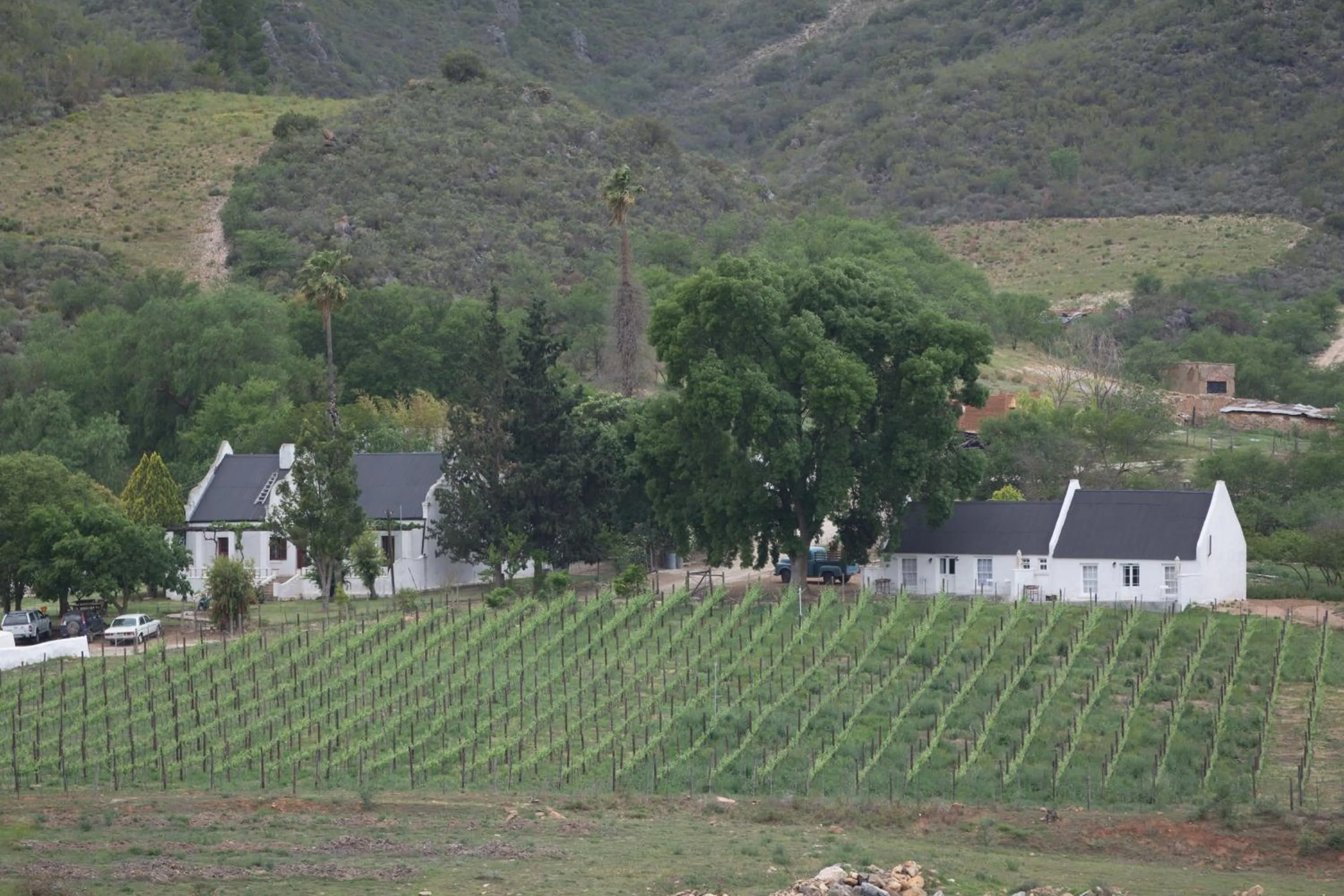 Photo of the whole room in De Kombuys