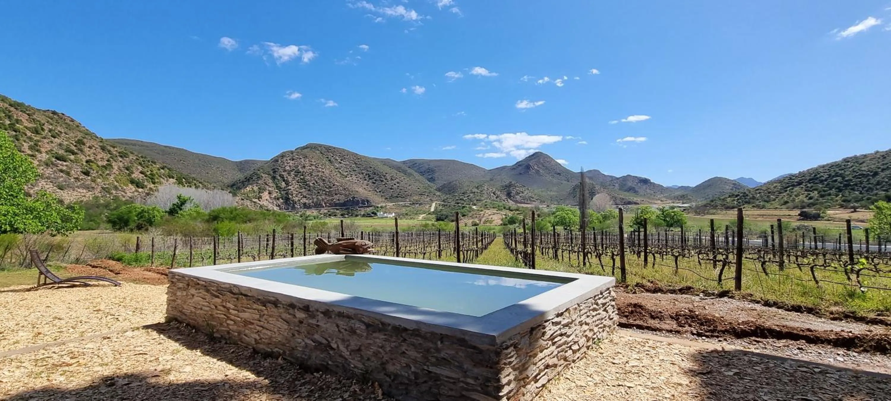 Swimming pool in De Kombuys