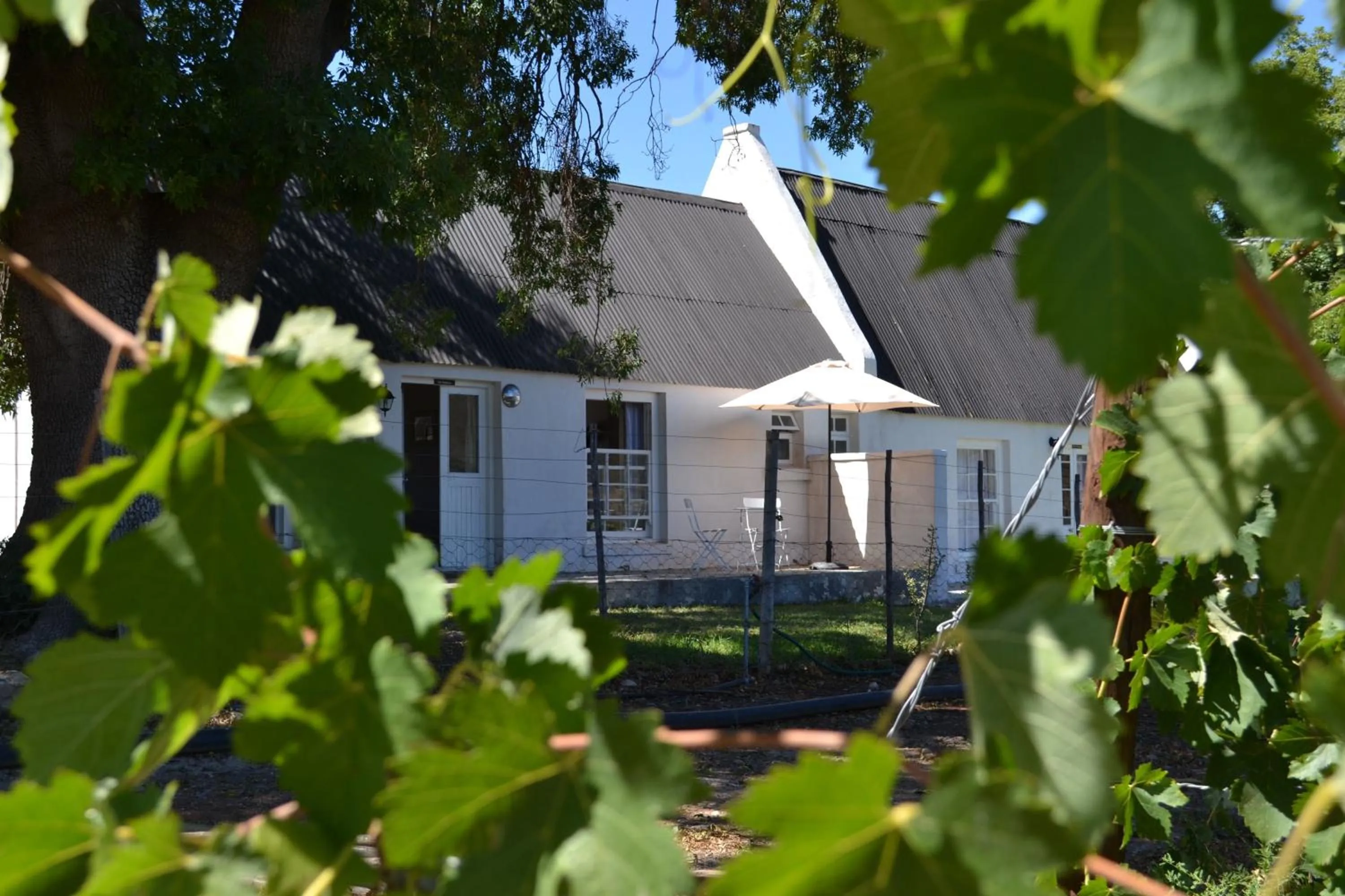 View (from property/room) in De Kombuys