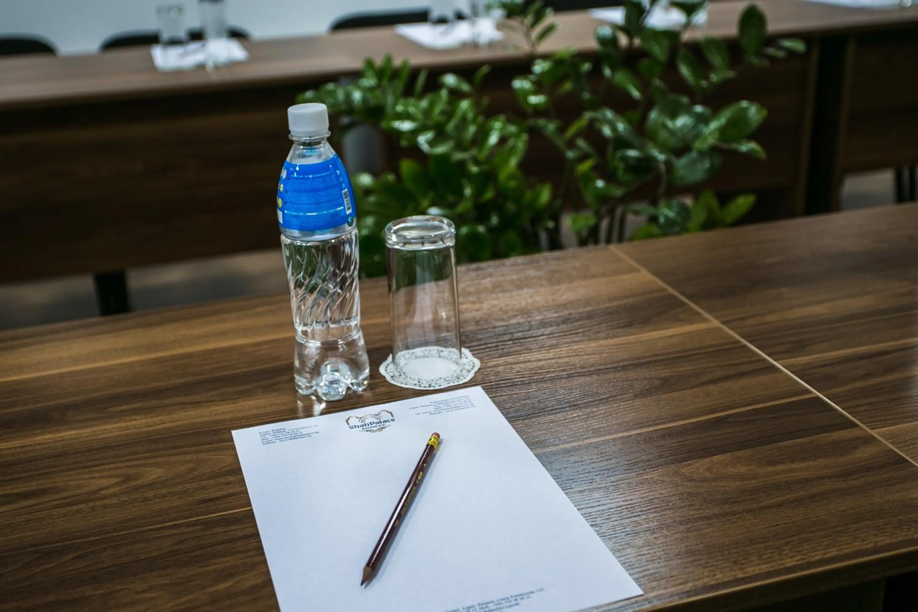 Business facilities in Shah Palace Hotel